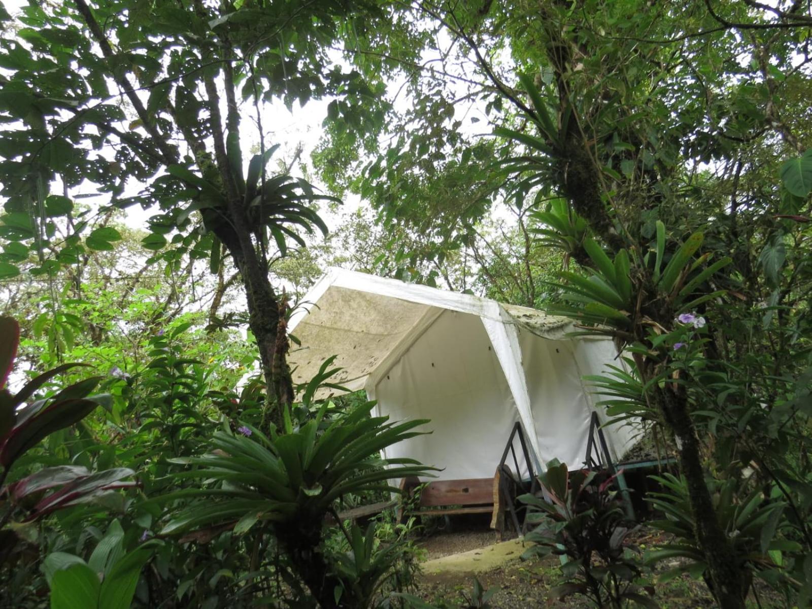 Glamping Rio Celeste Heliconia view 5