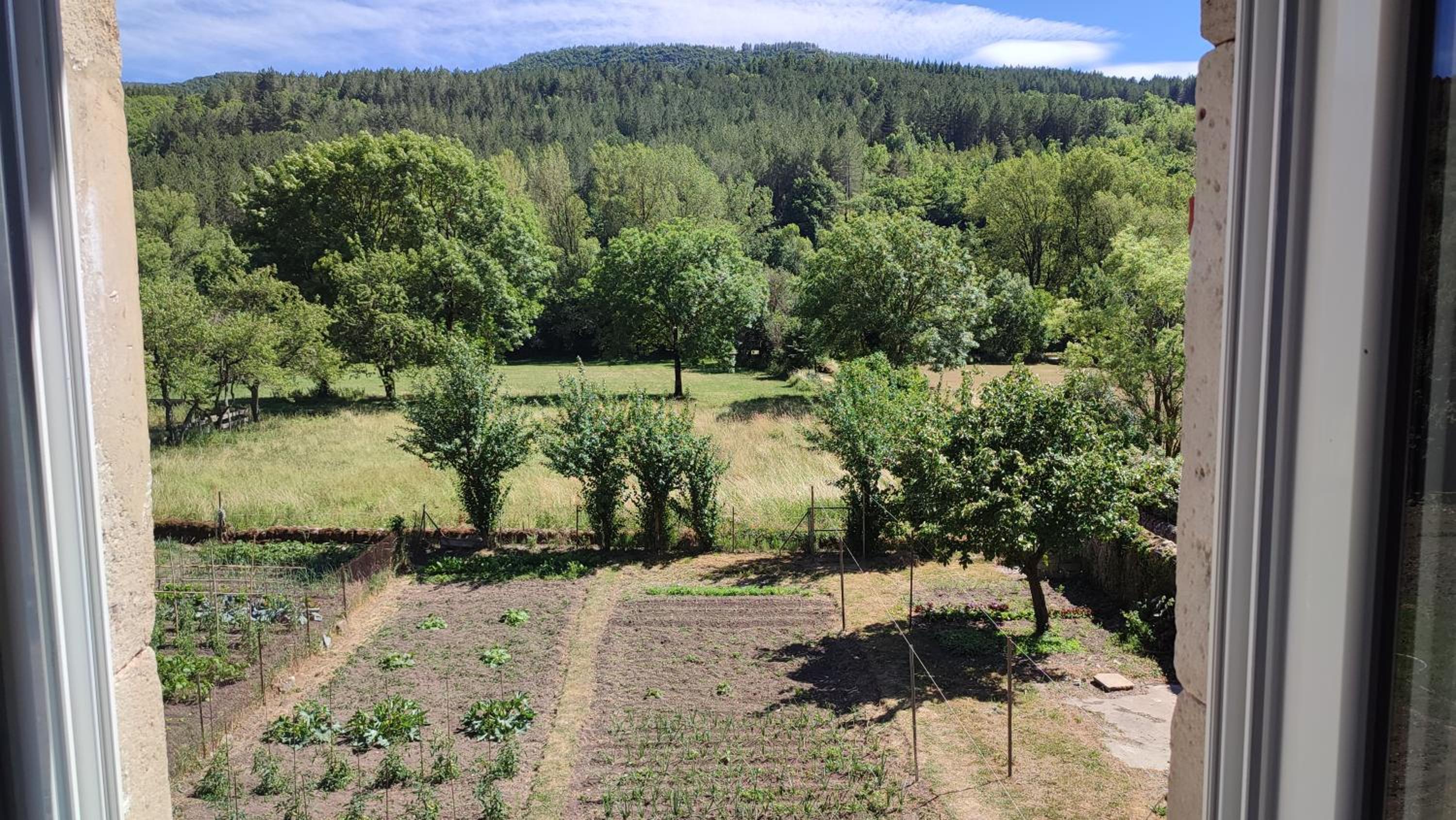 garden