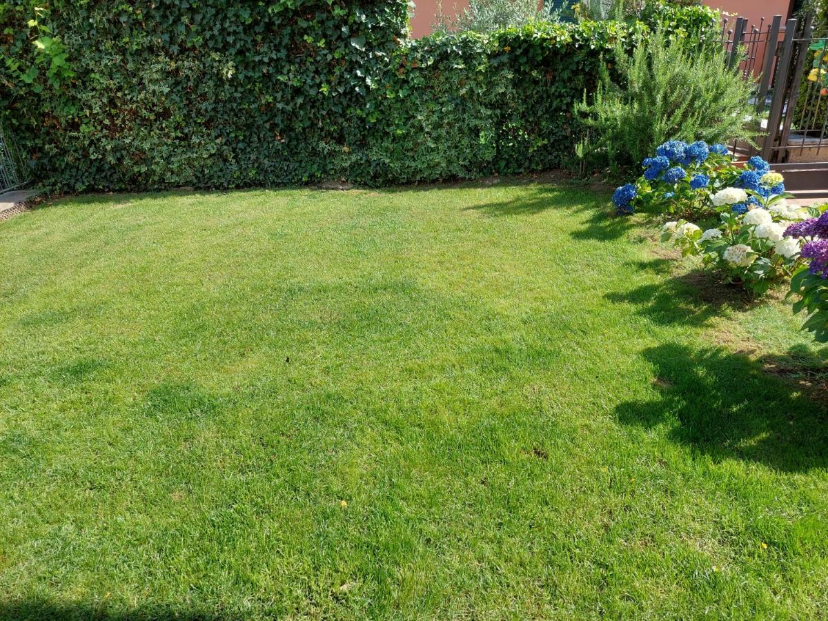 Photo 28