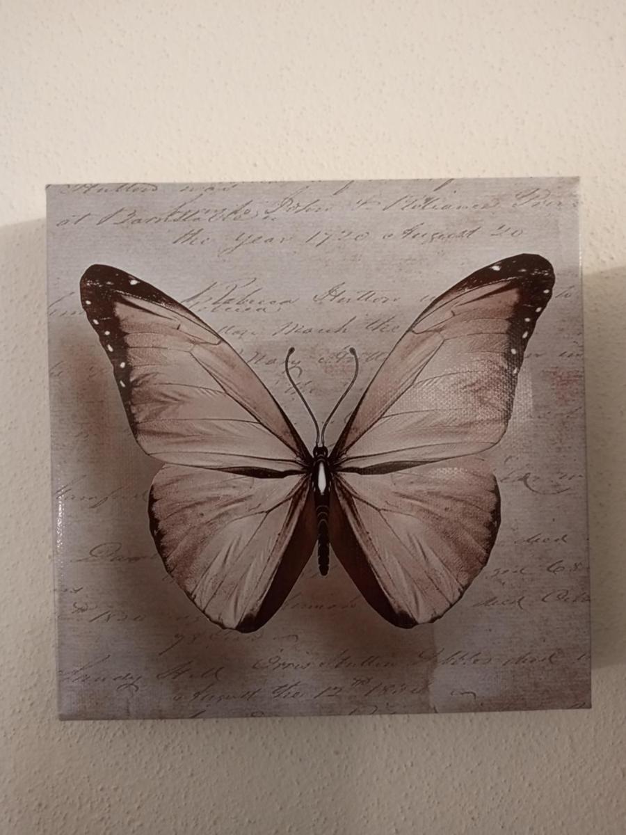 Butterfly House - Castelfranco di Sopra