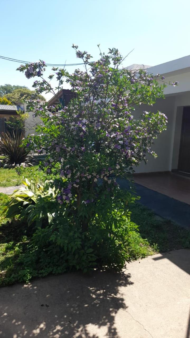 Posada Los Pájaros
