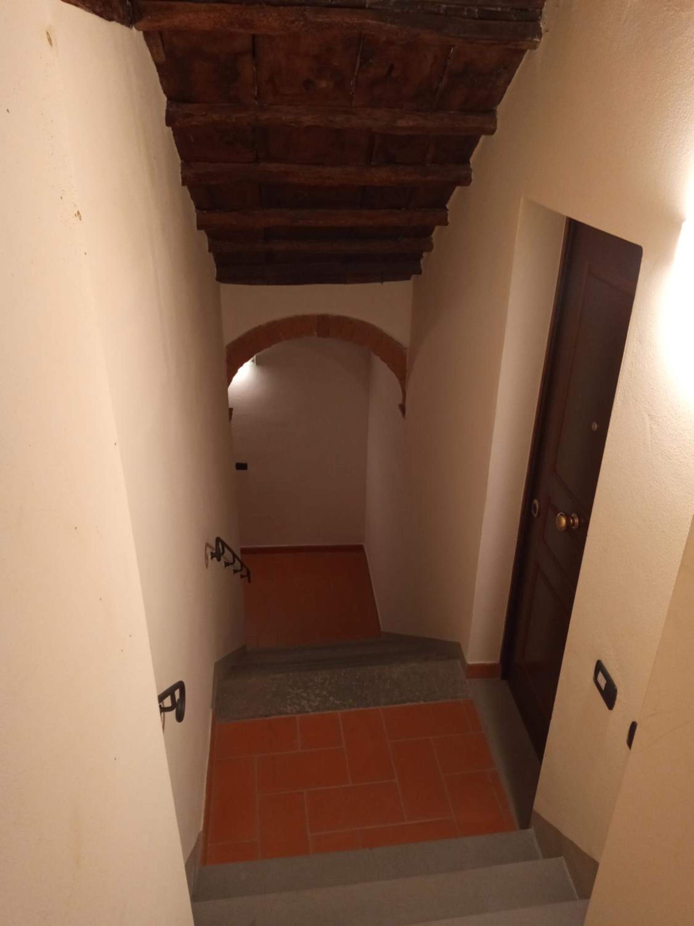 Butterfly House - Castelfranco di Sopra