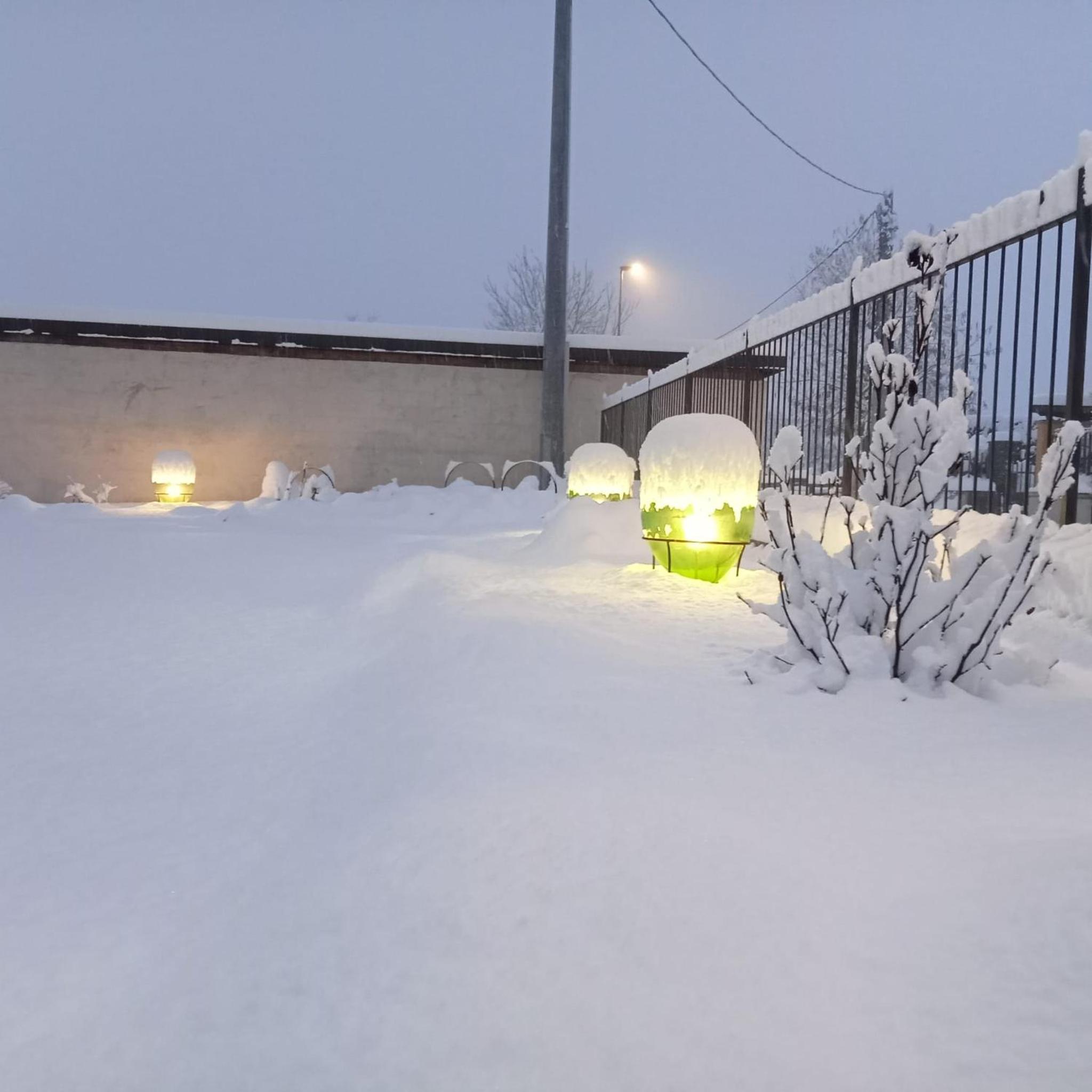 Photo 20