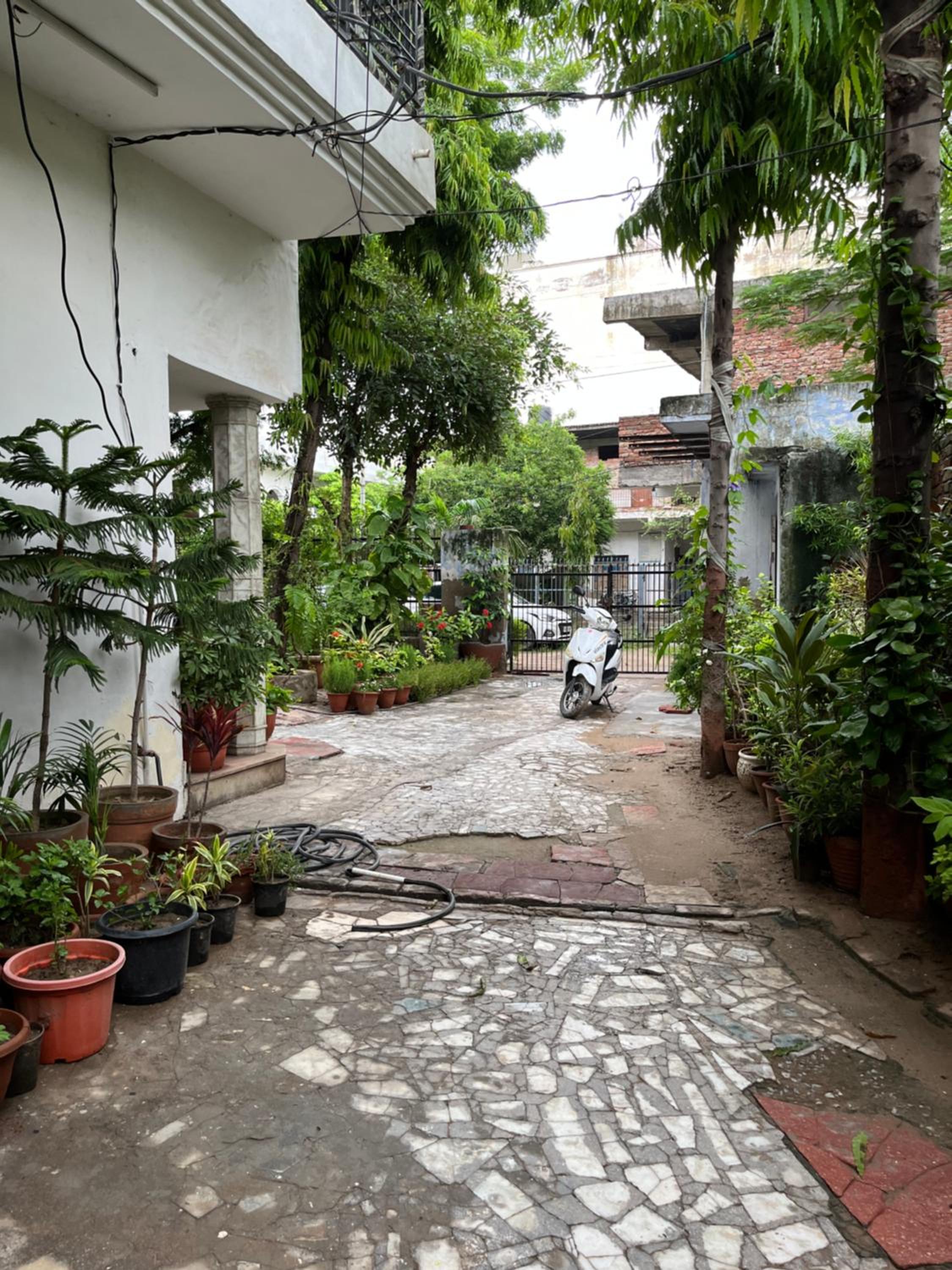 Alibaba’s Indiana Homestay