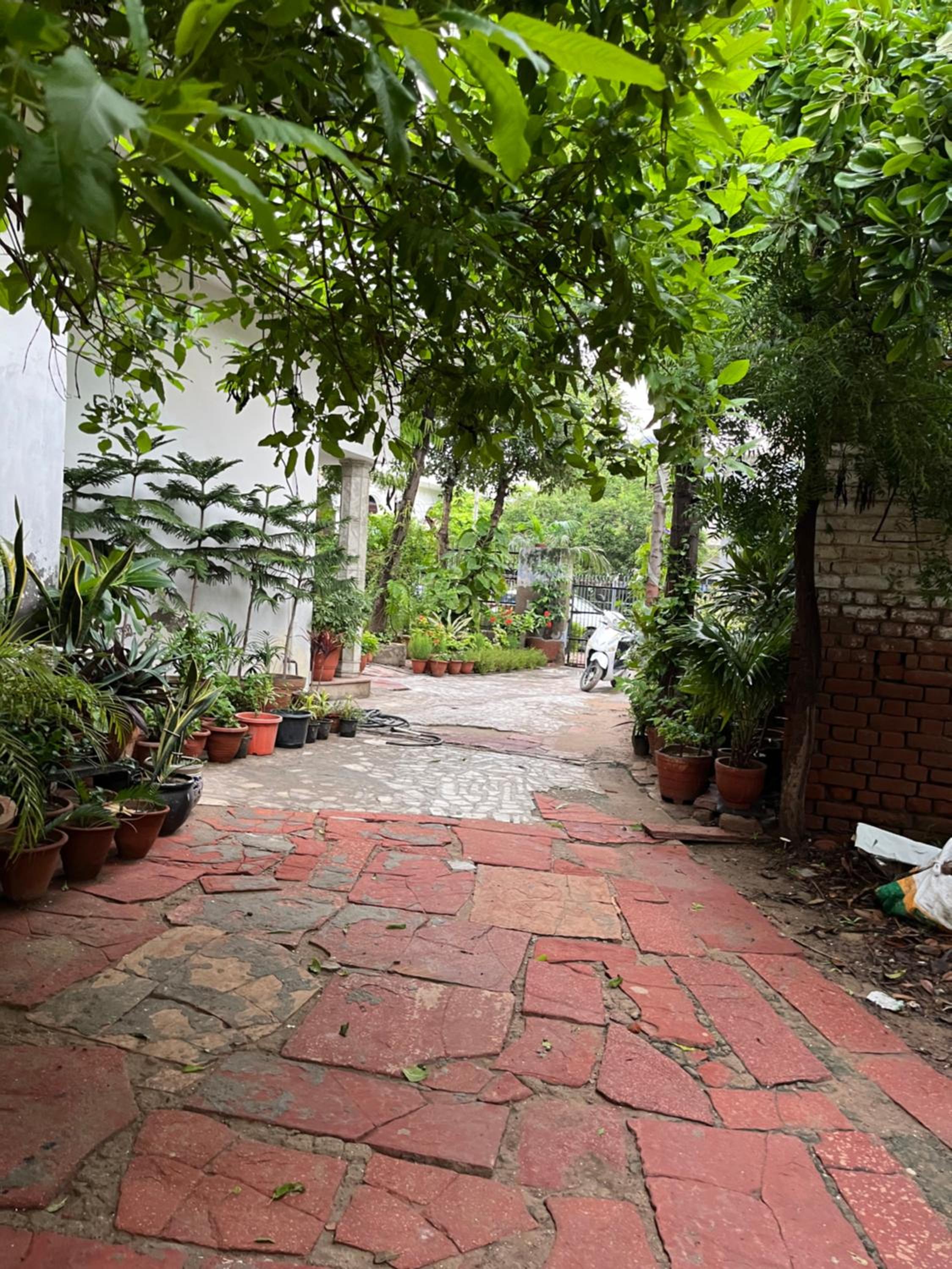 Alibaba’s Indiana Homestay