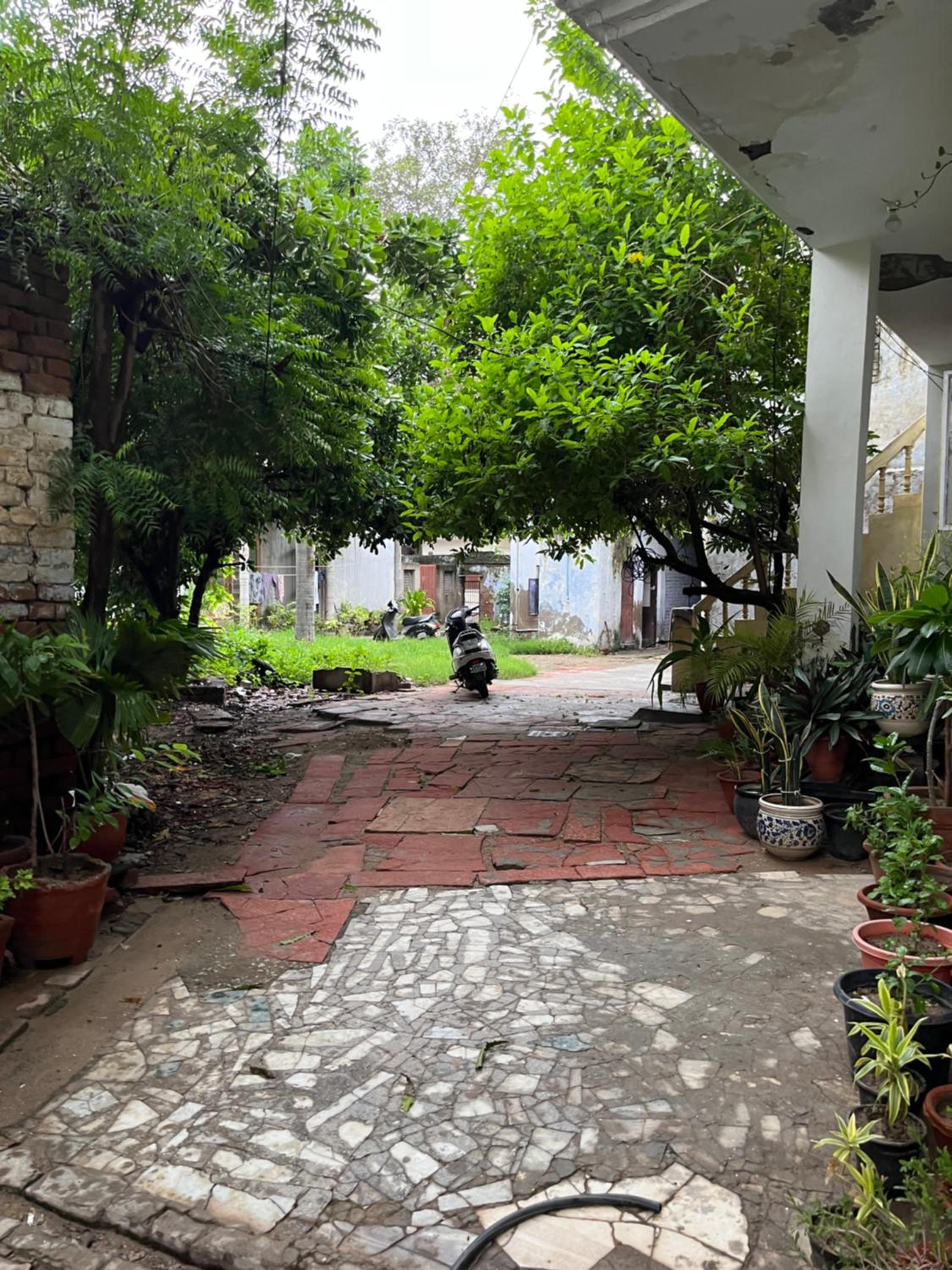 Alibaba’s Indiana Homestay