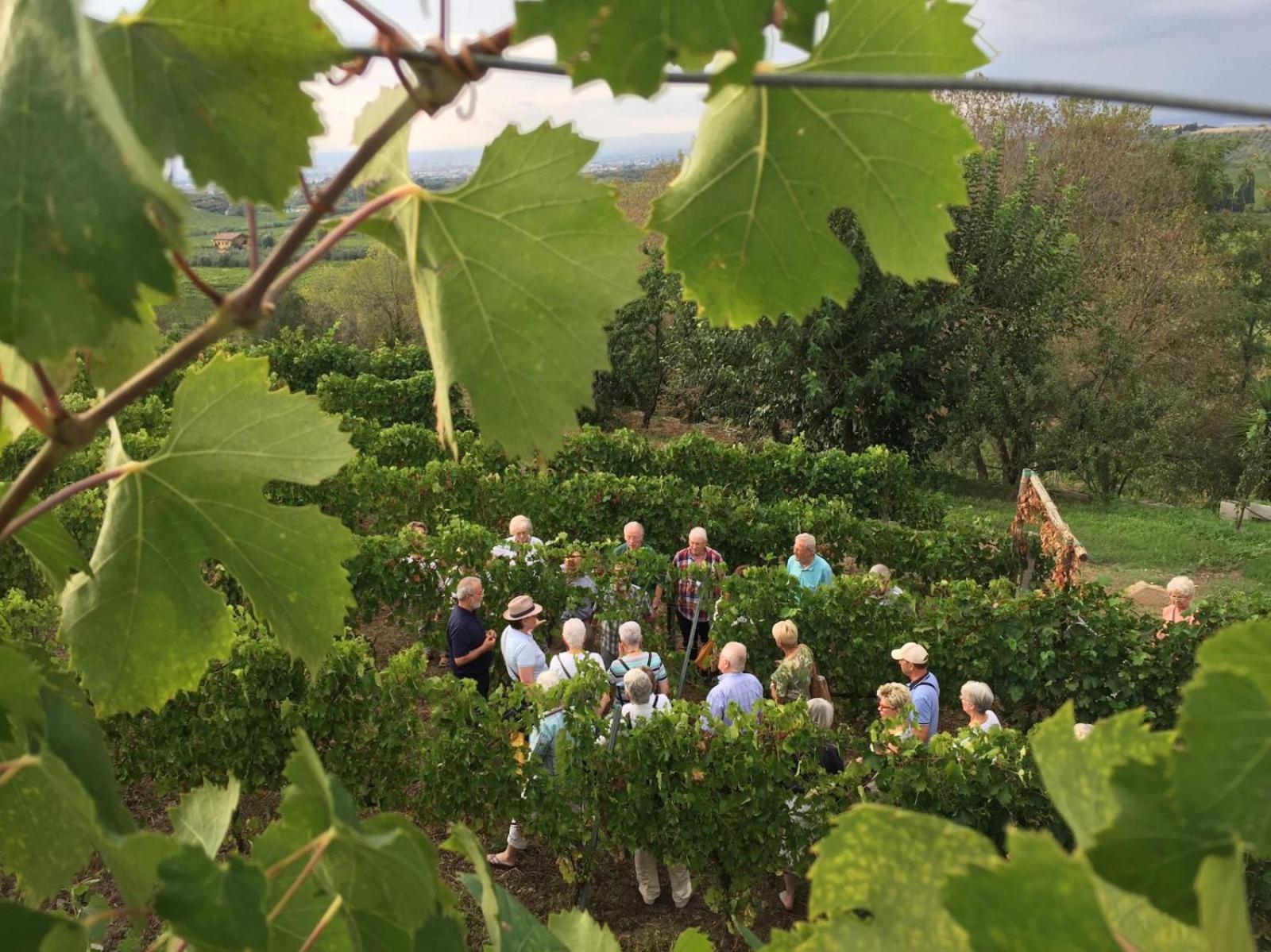 Merumalia Wine Resort