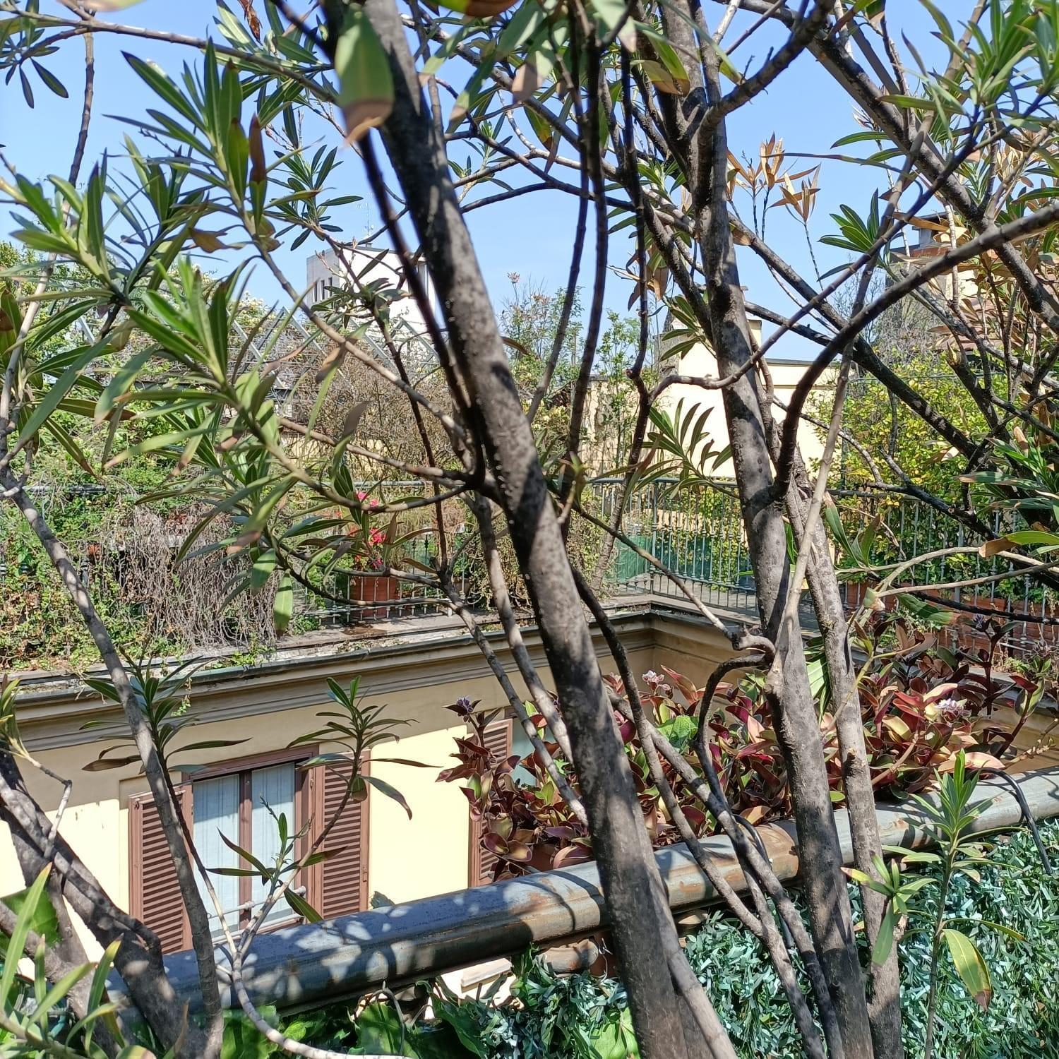 The Central Milano