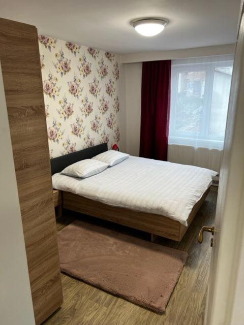 Apartament 9 Central view 2