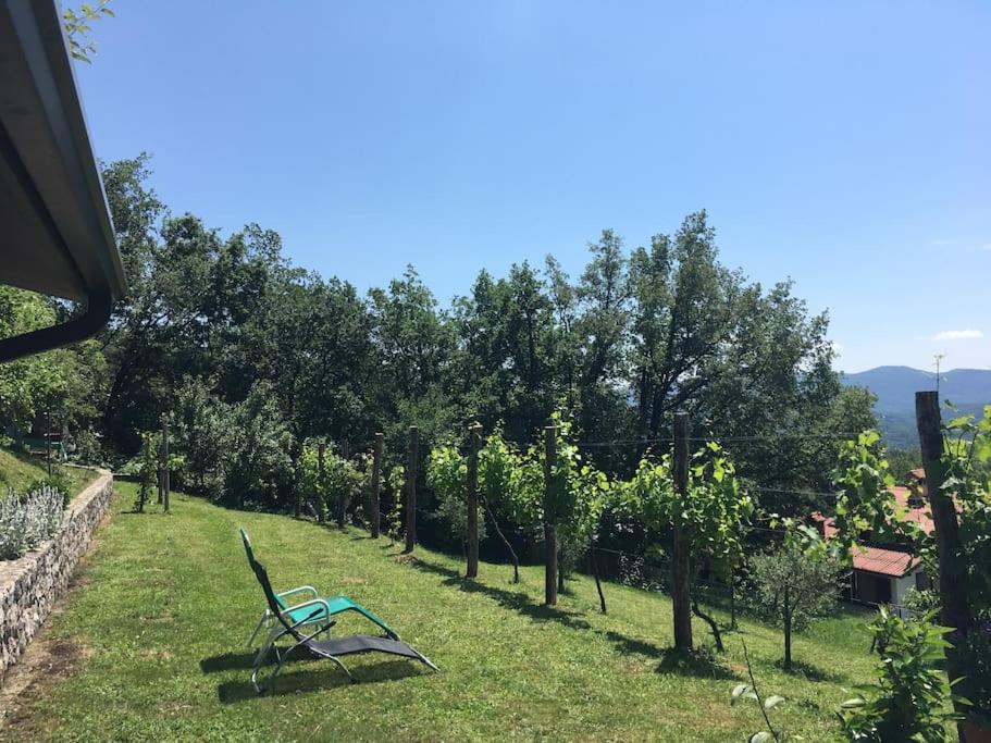 Beautiful holiday cottage DaMa