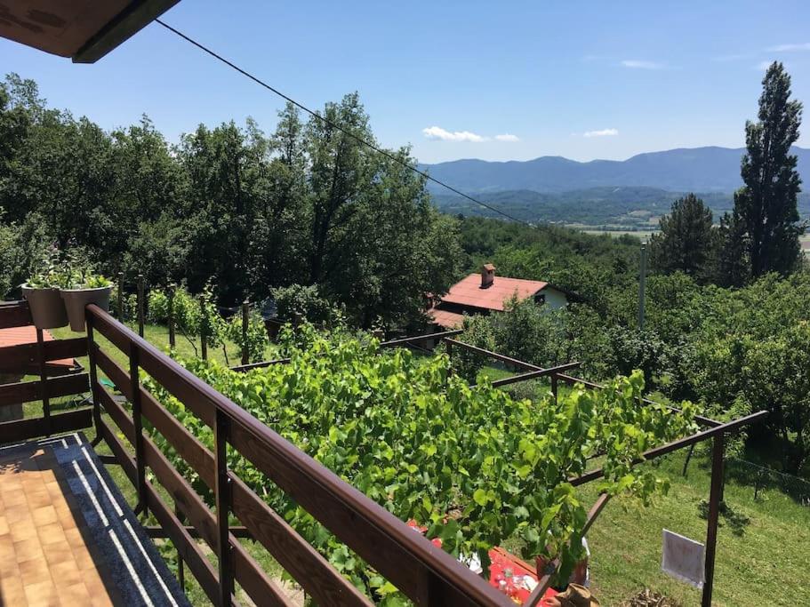 Beautiful holiday cottage DaMa