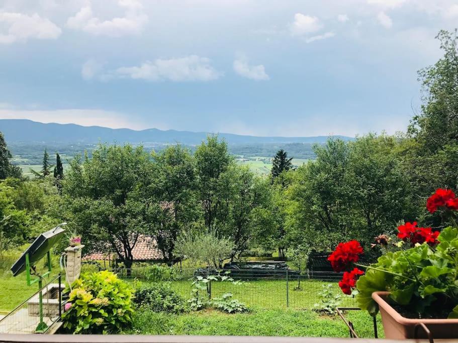 Beautiful holiday cottage DaMa