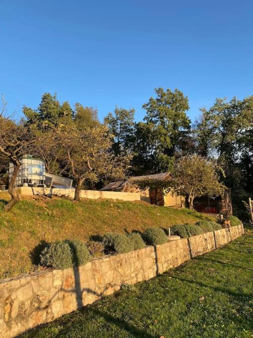 Beautiful holiday cottage DaMa
