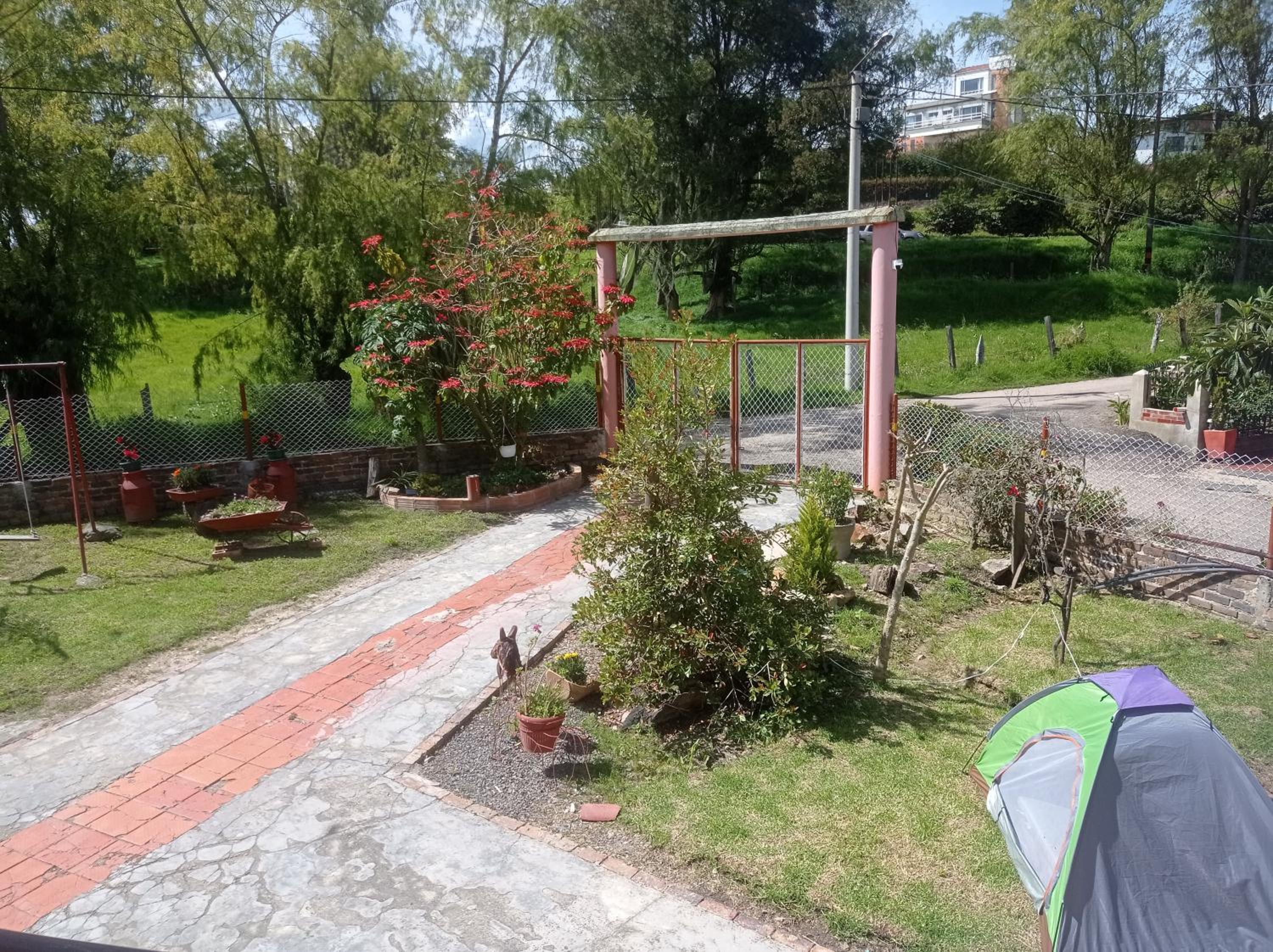 Photo 7