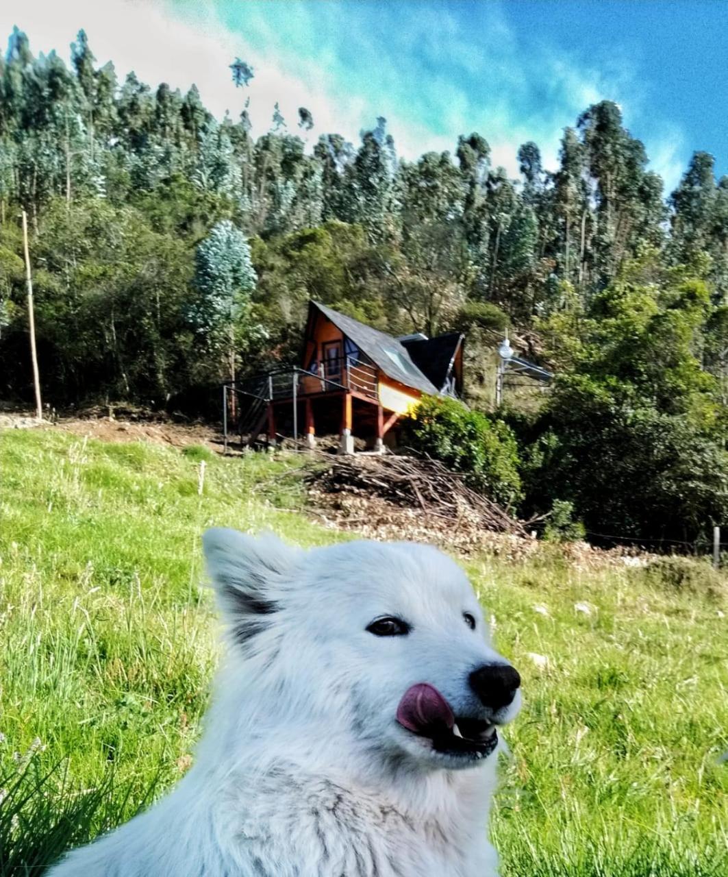 Glamping refugio Gaia