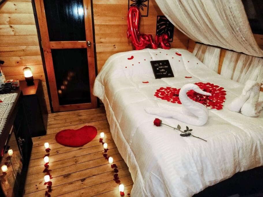 Glamping refugio Gaia