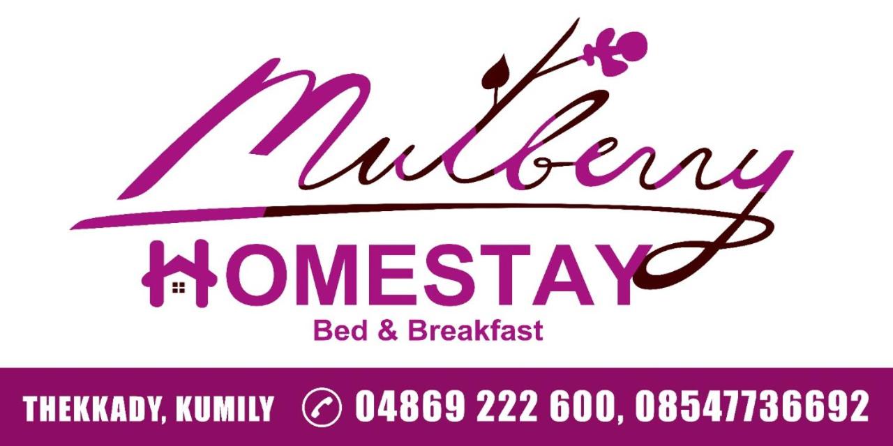 Mulberry Homestay view 2