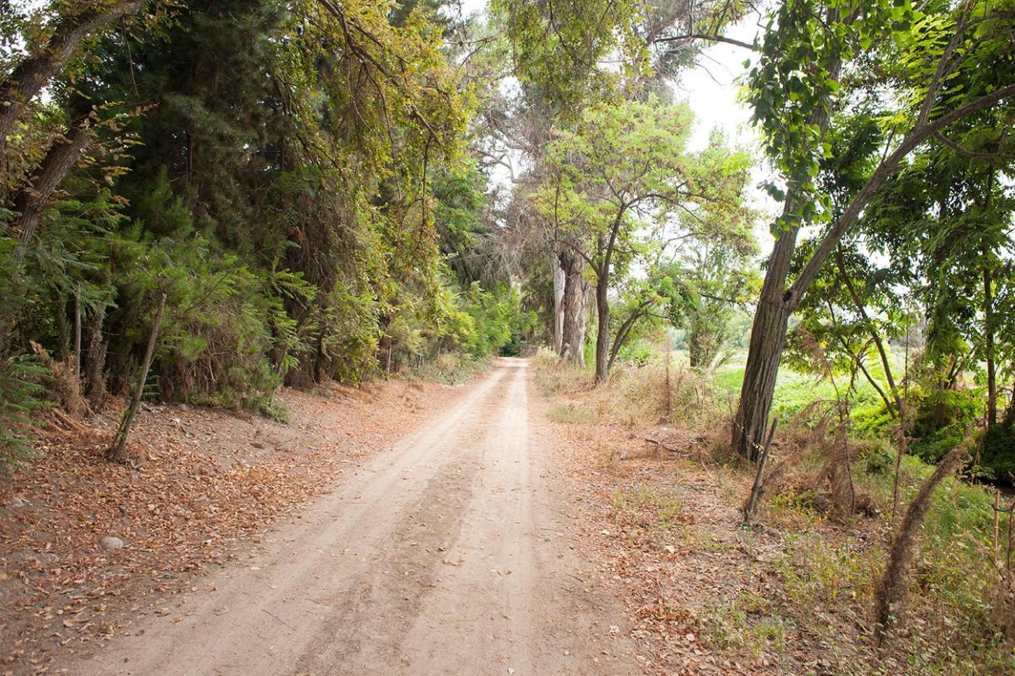 Casona Lo Aguirre , Hospedaje de Temporada Cálidas