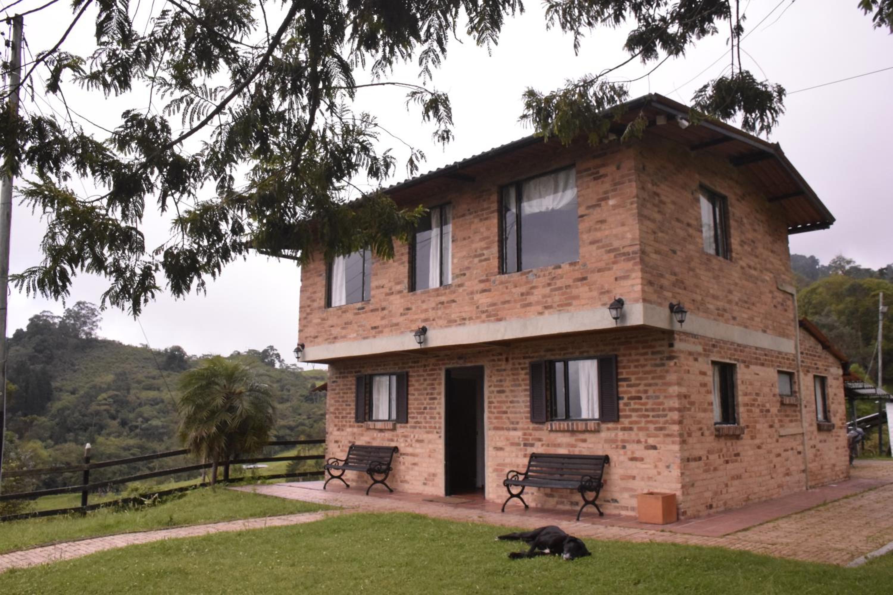 Finca Verde Vivo