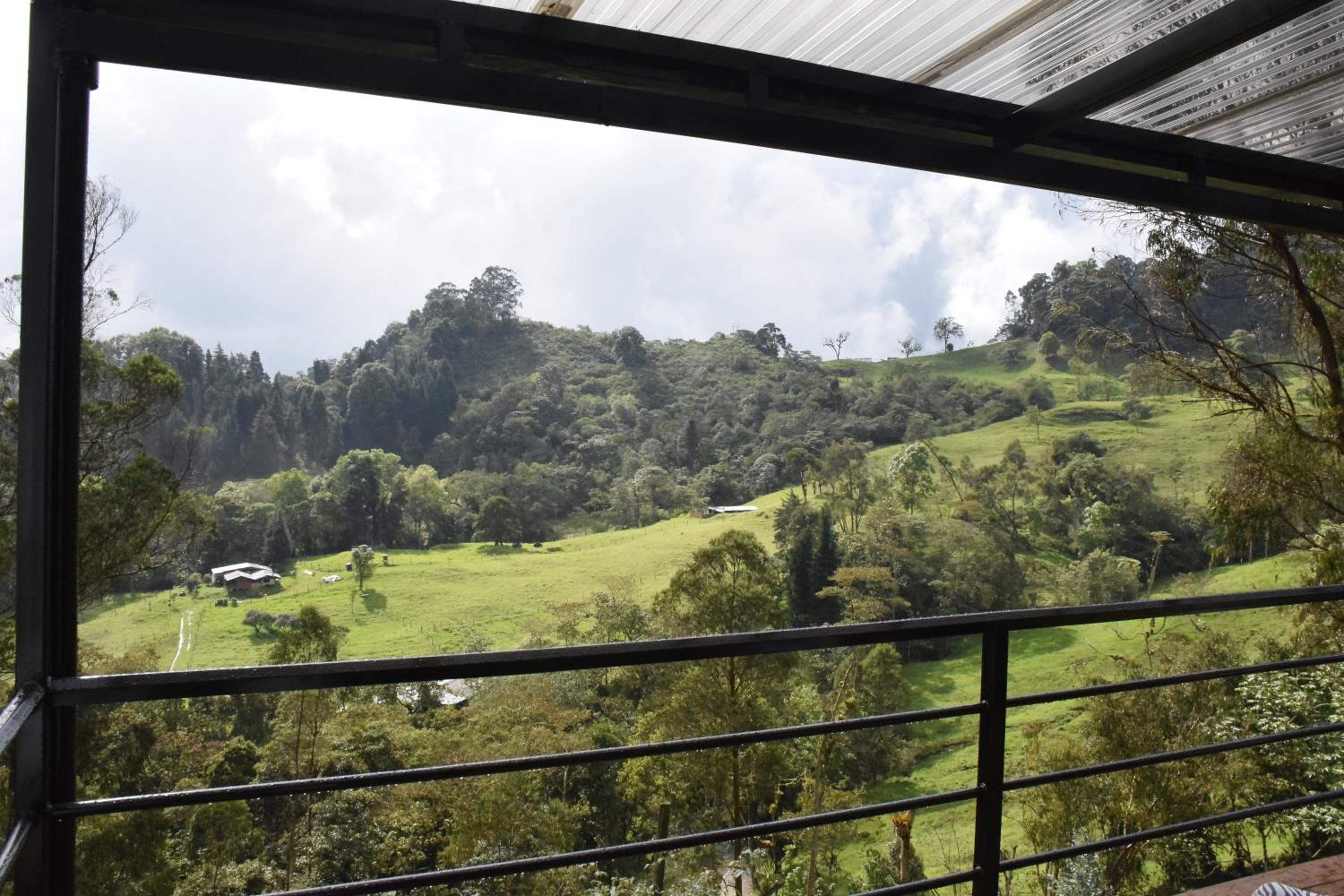 Finca Verde Vivo