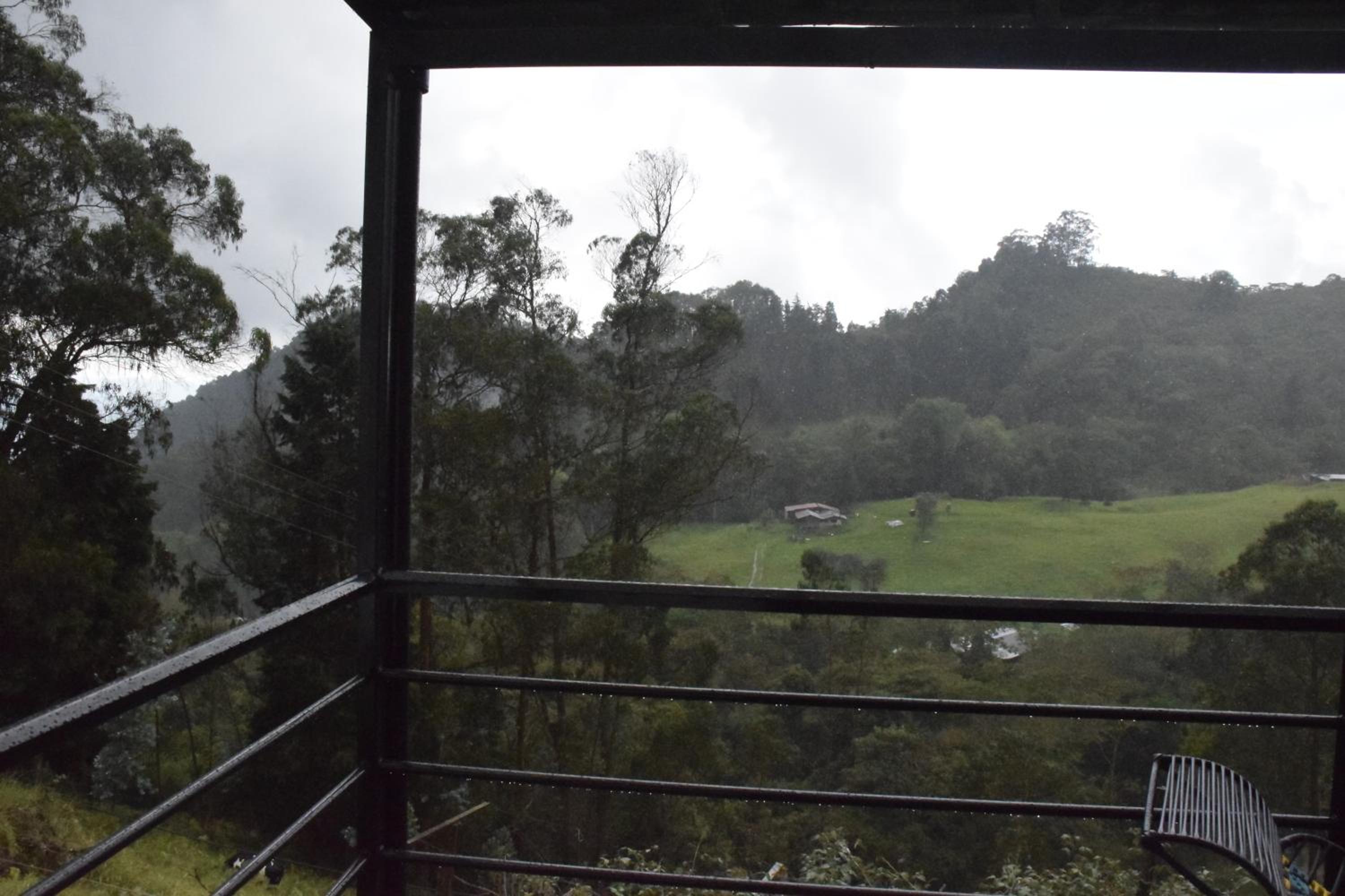 Finca Verde Vivo