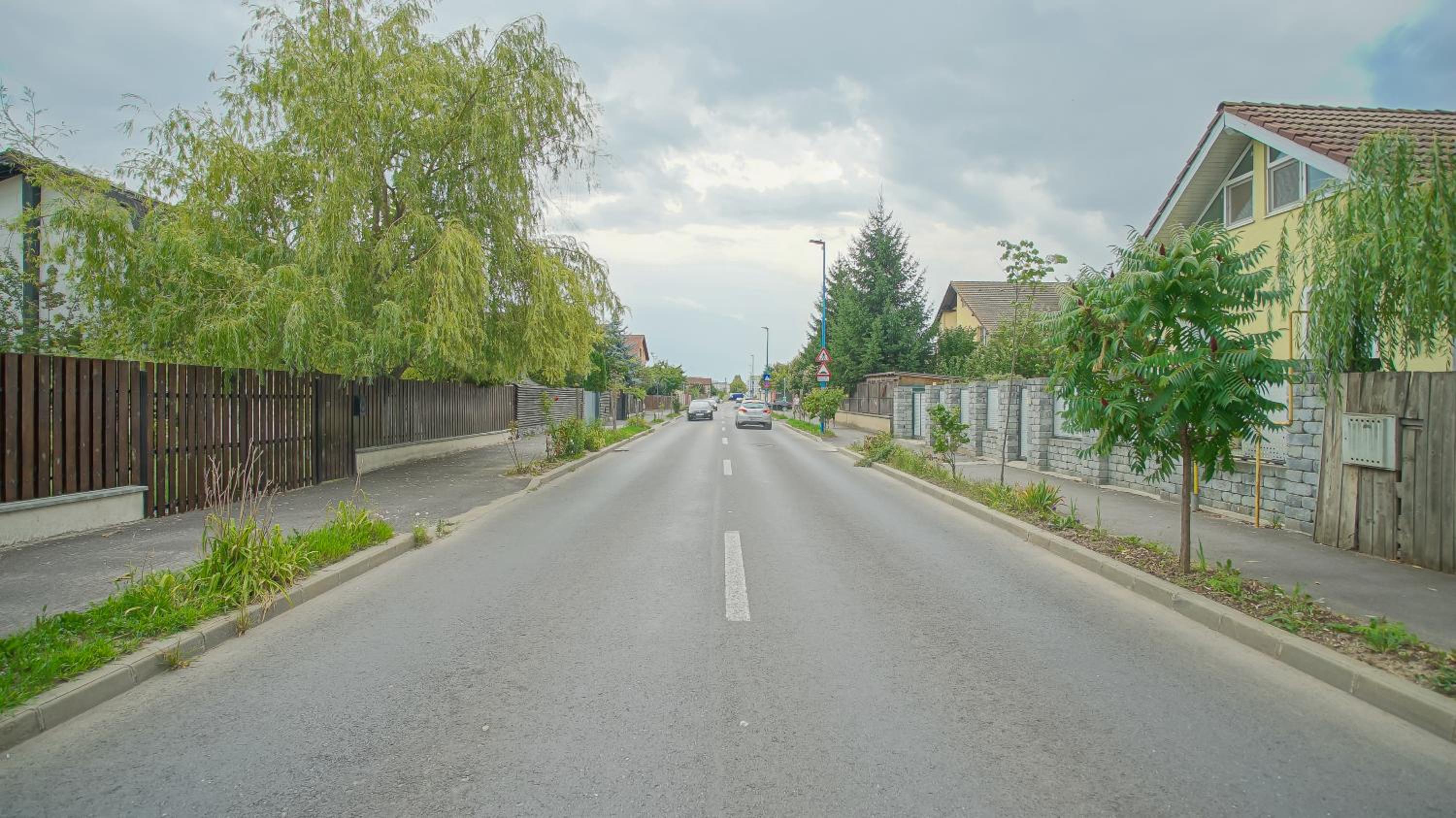 Photo 33