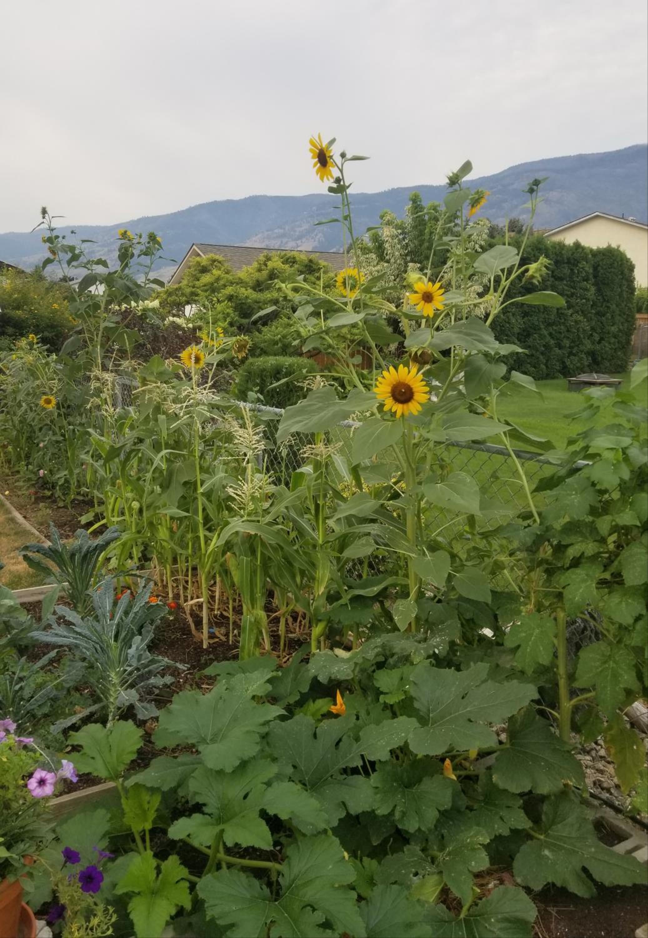 Global Village Permaculture BnB