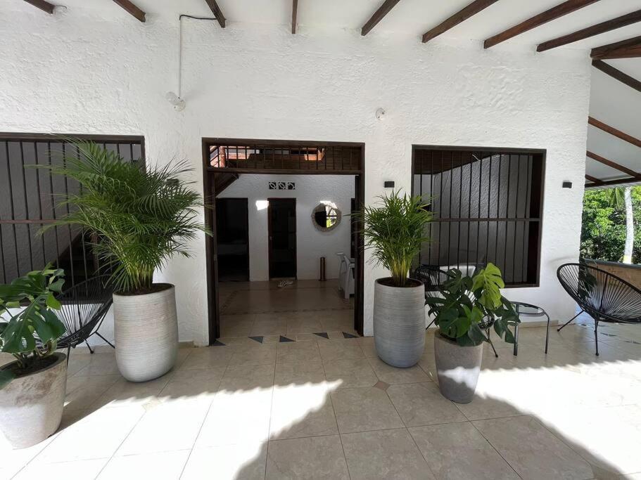 Finca Rosa Palomera Doradal