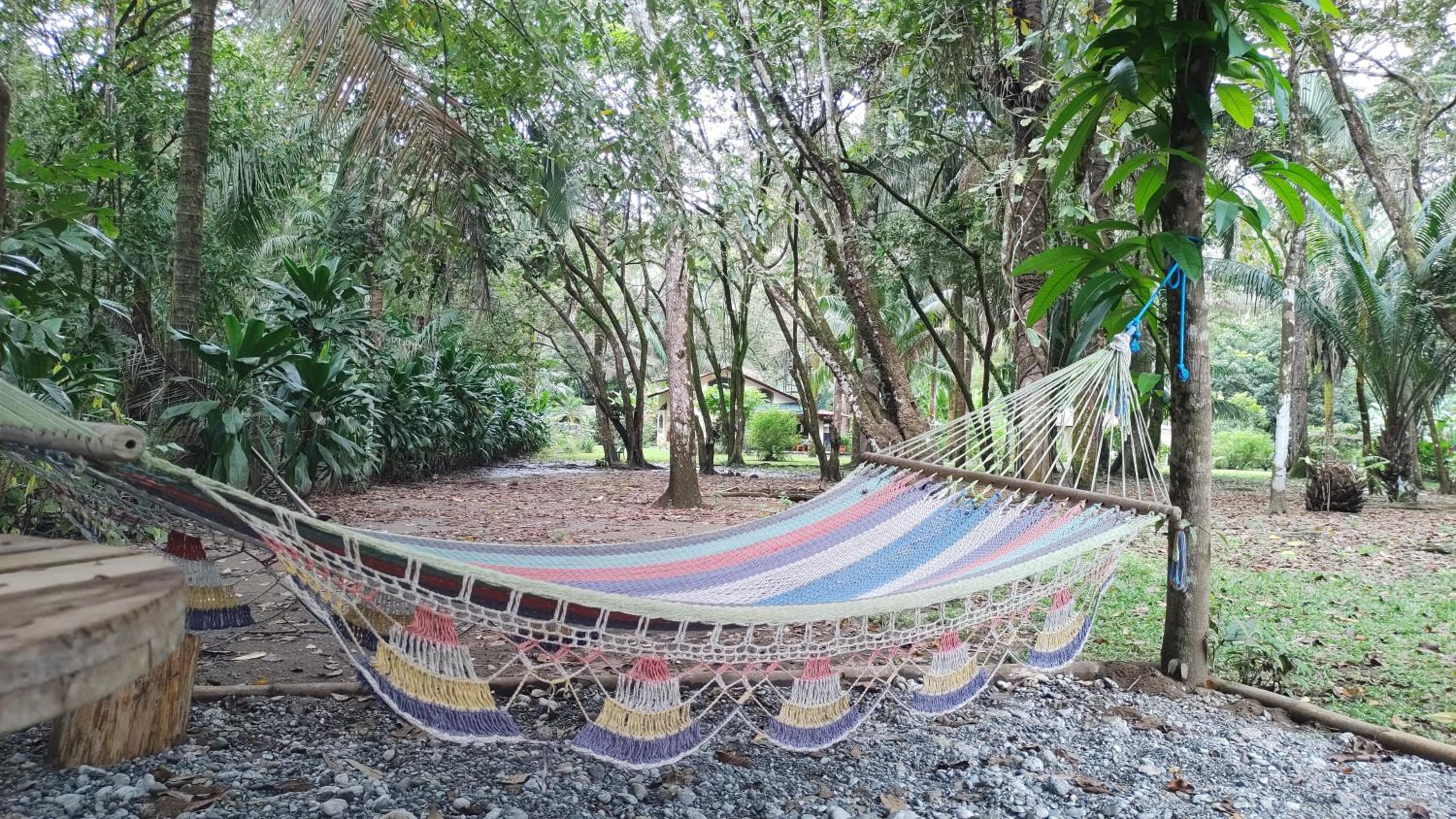 Four Monkeys Eco Lodge Jungle & Beach - The House
