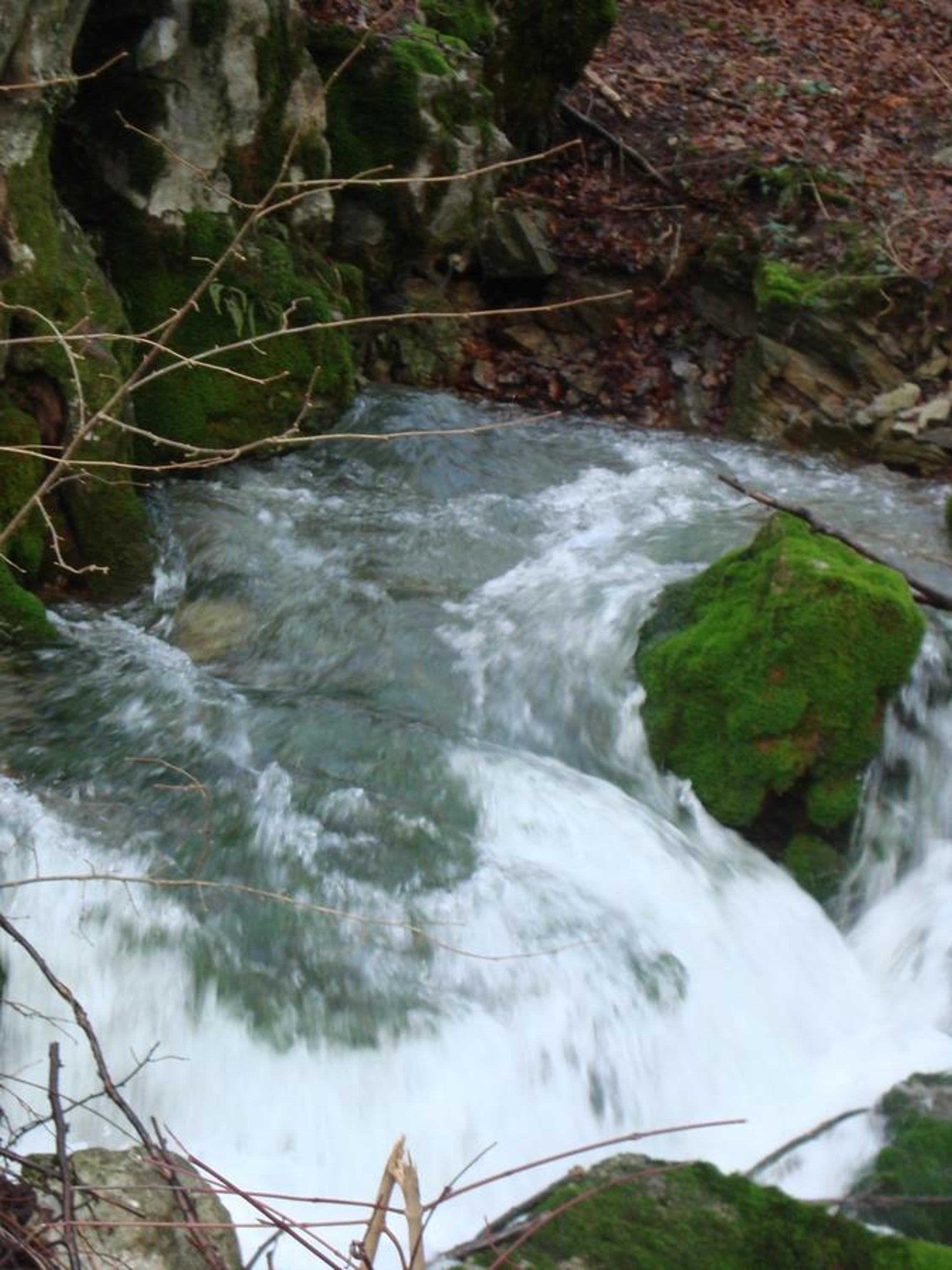 Photo 45