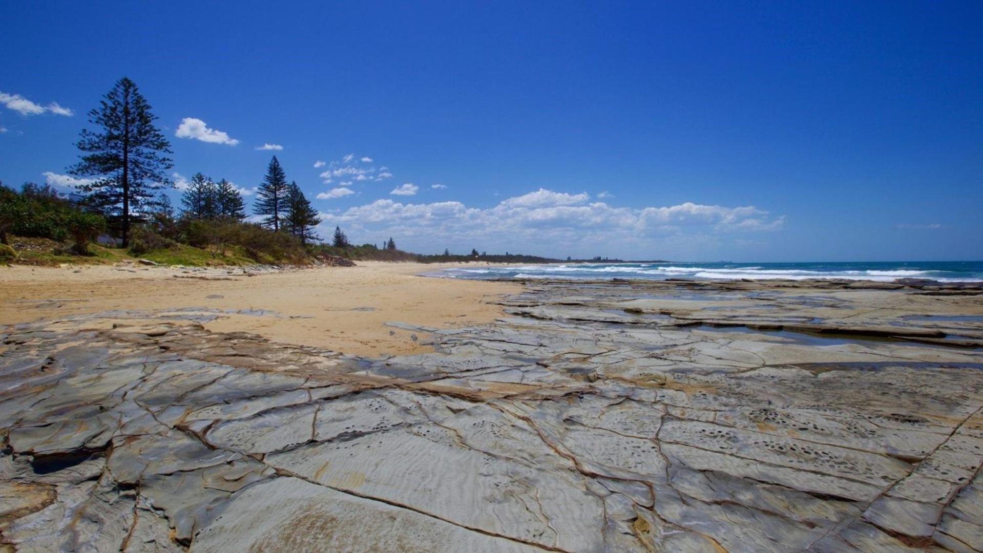 21 Cooroora Street Dicky Beach QLD