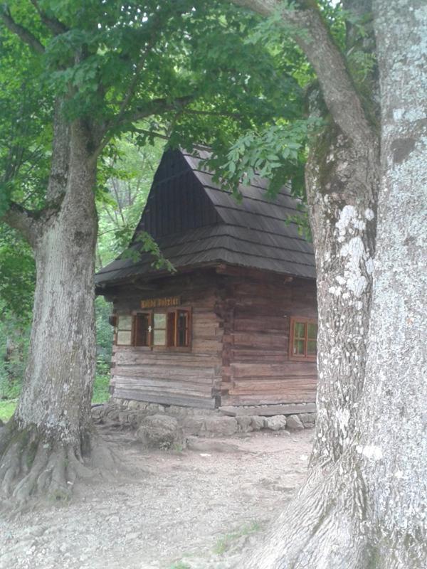 Photo 22