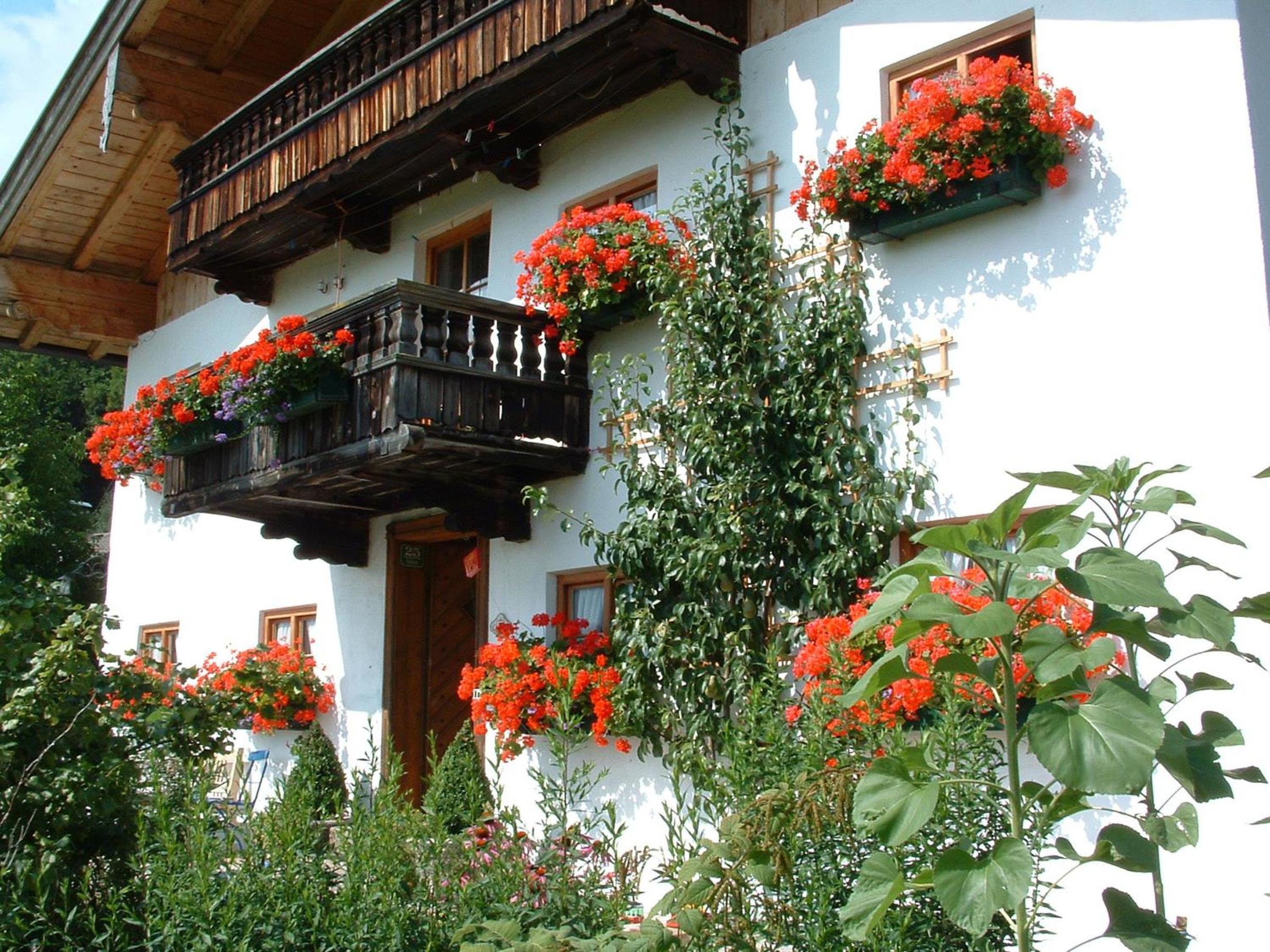 Ferienwohnung Schuster am Fellerer view 3