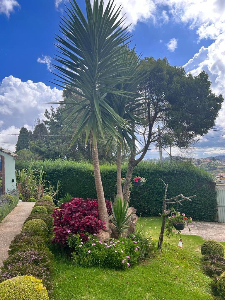 Pousada Araucária Village