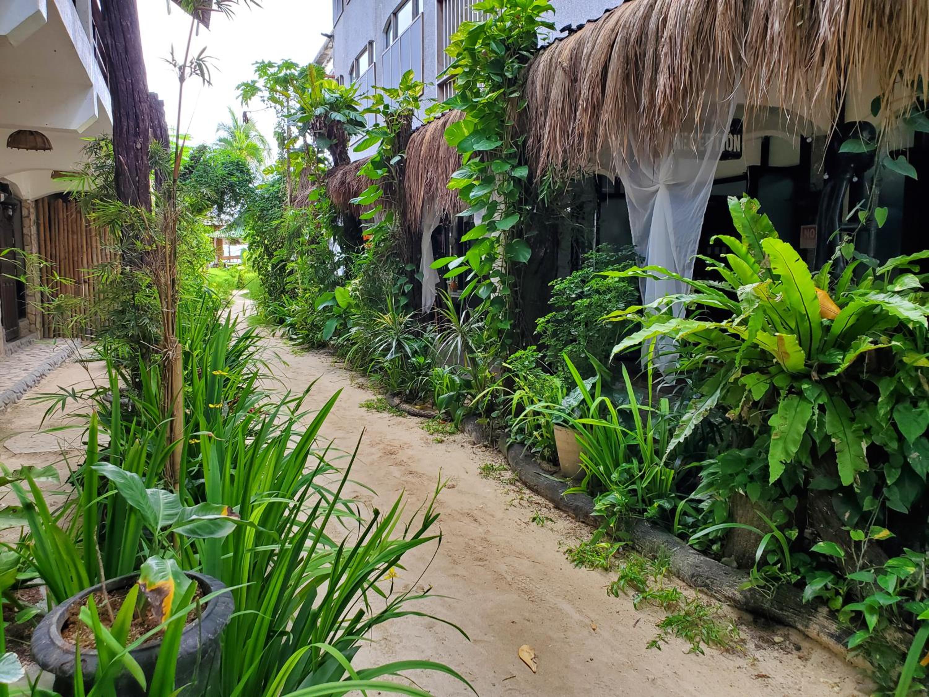 Patrick's on the Beach Resort — photo 81