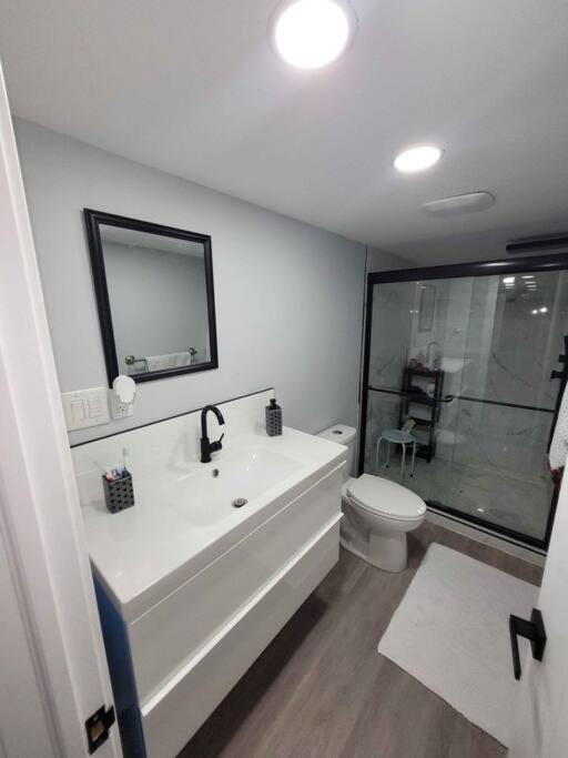 Gorgeous Basement Apartment