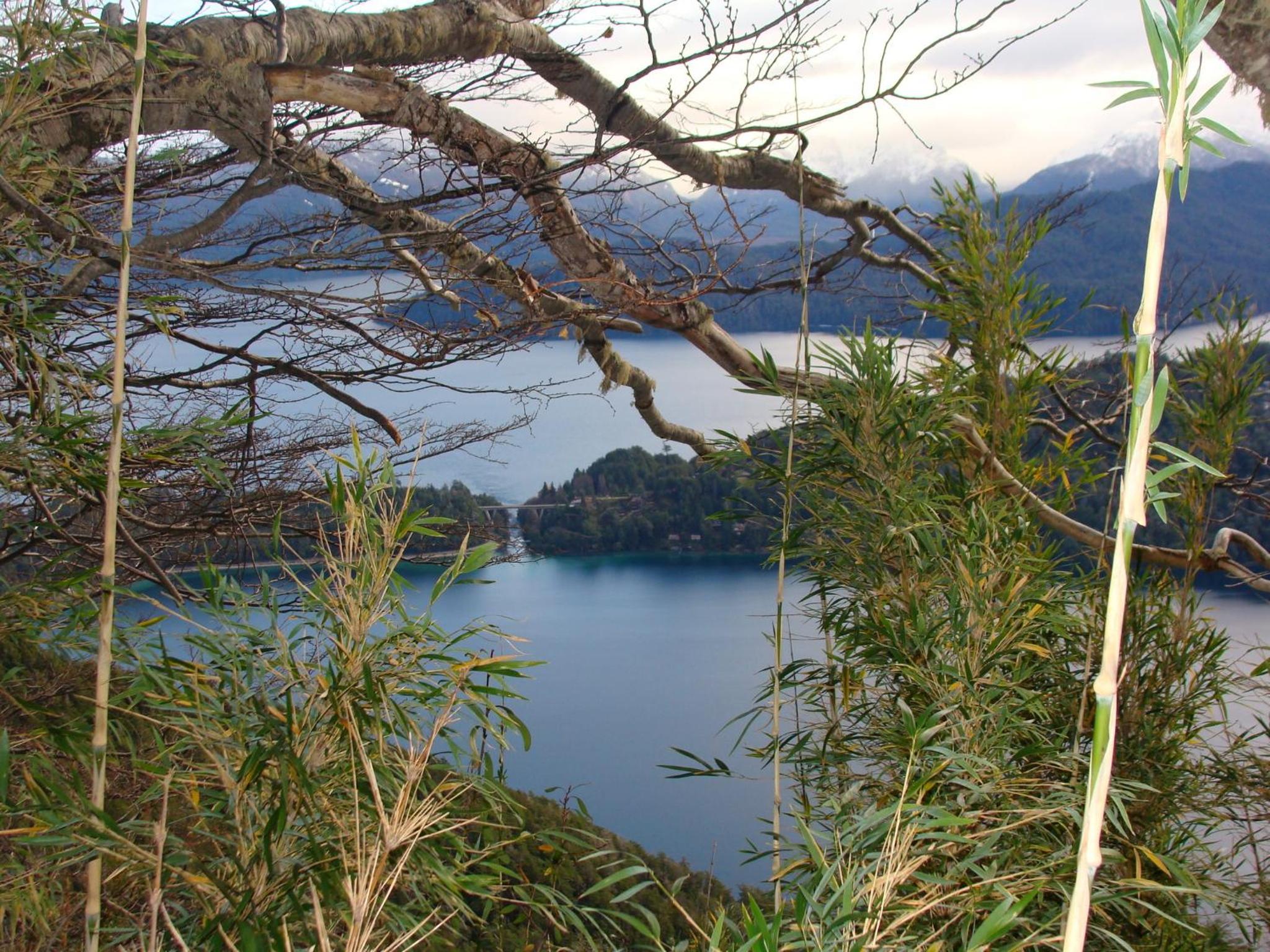 Paillahuen