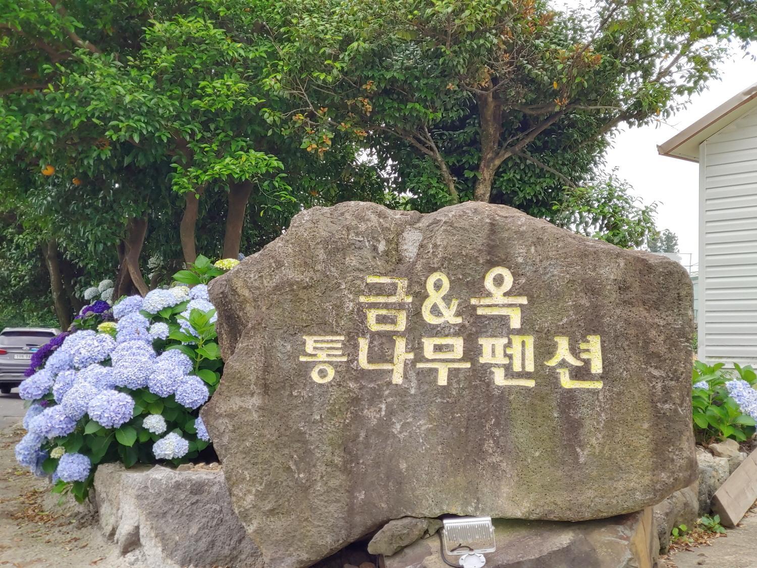 Geumok Log Pension