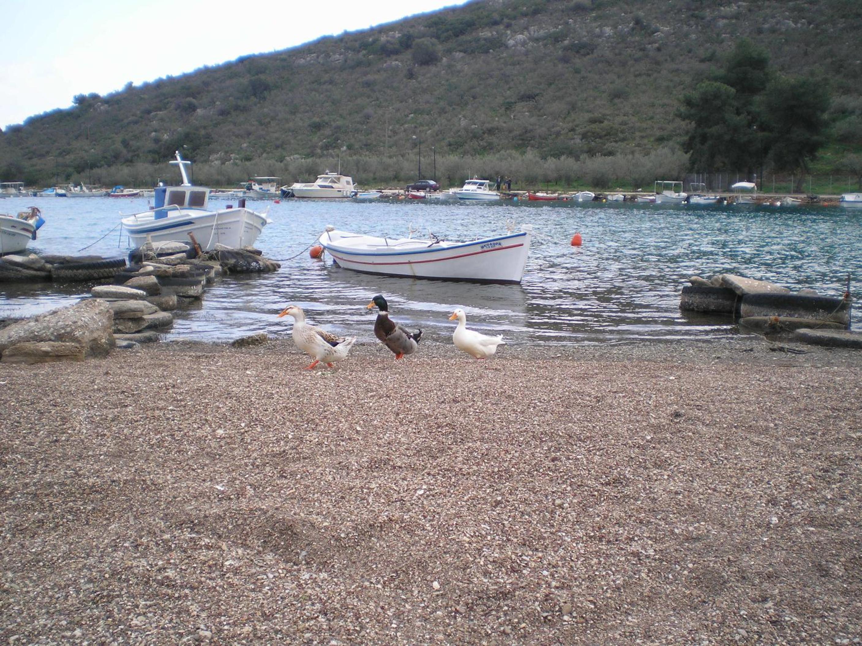 Photo 20