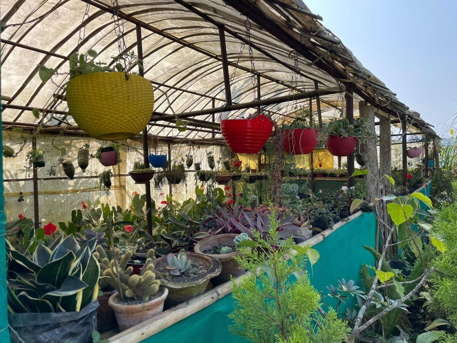 Flower Patch Homestay view 4