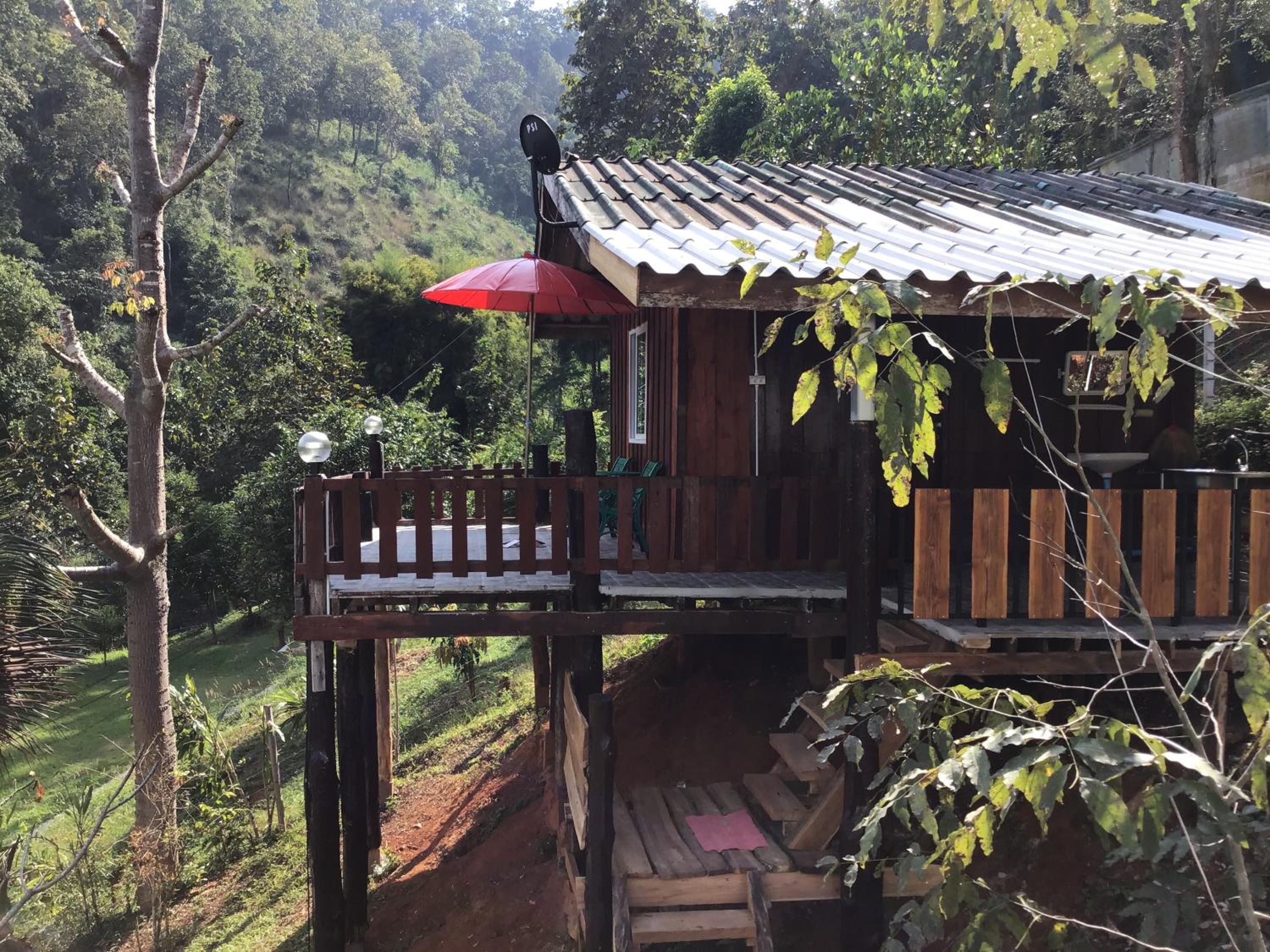 Forest Guesthouse