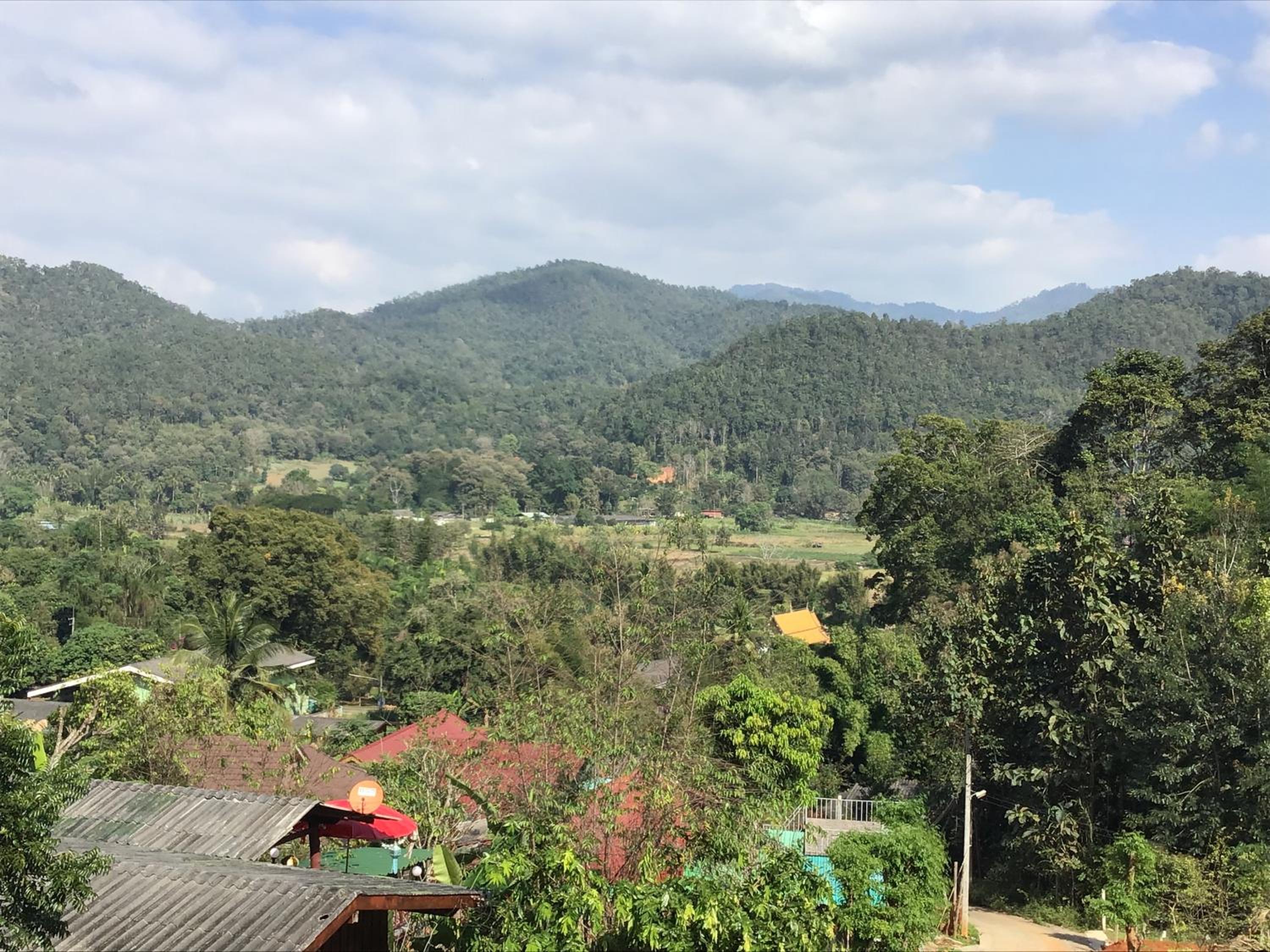 Forest Guesthouse