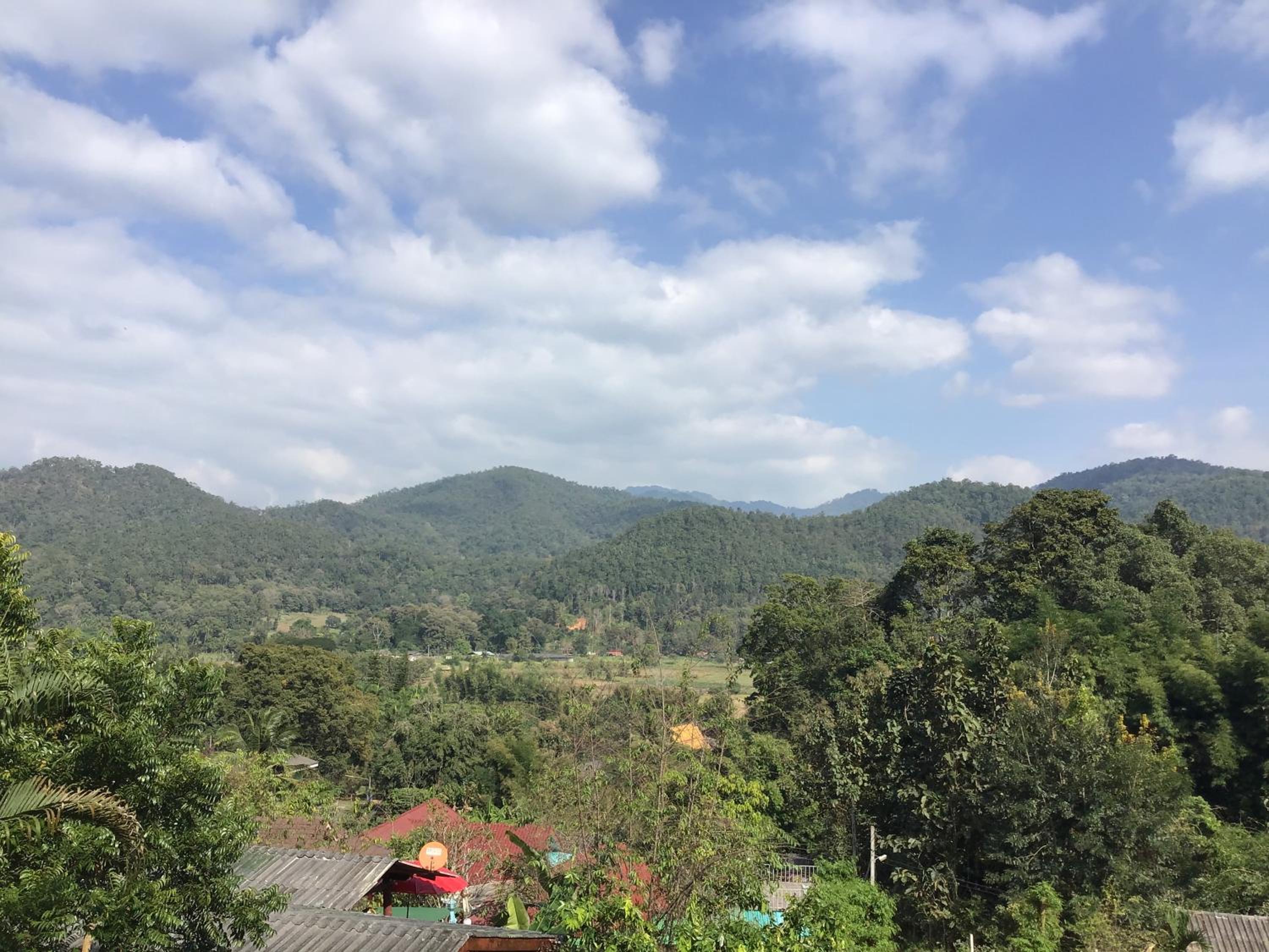 Forest Guesthouse
