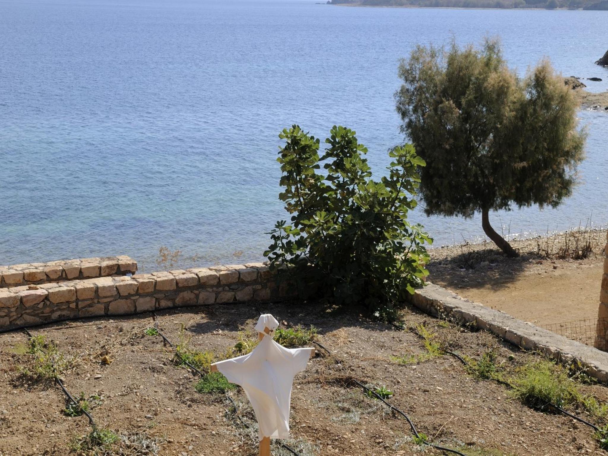 Photo 40