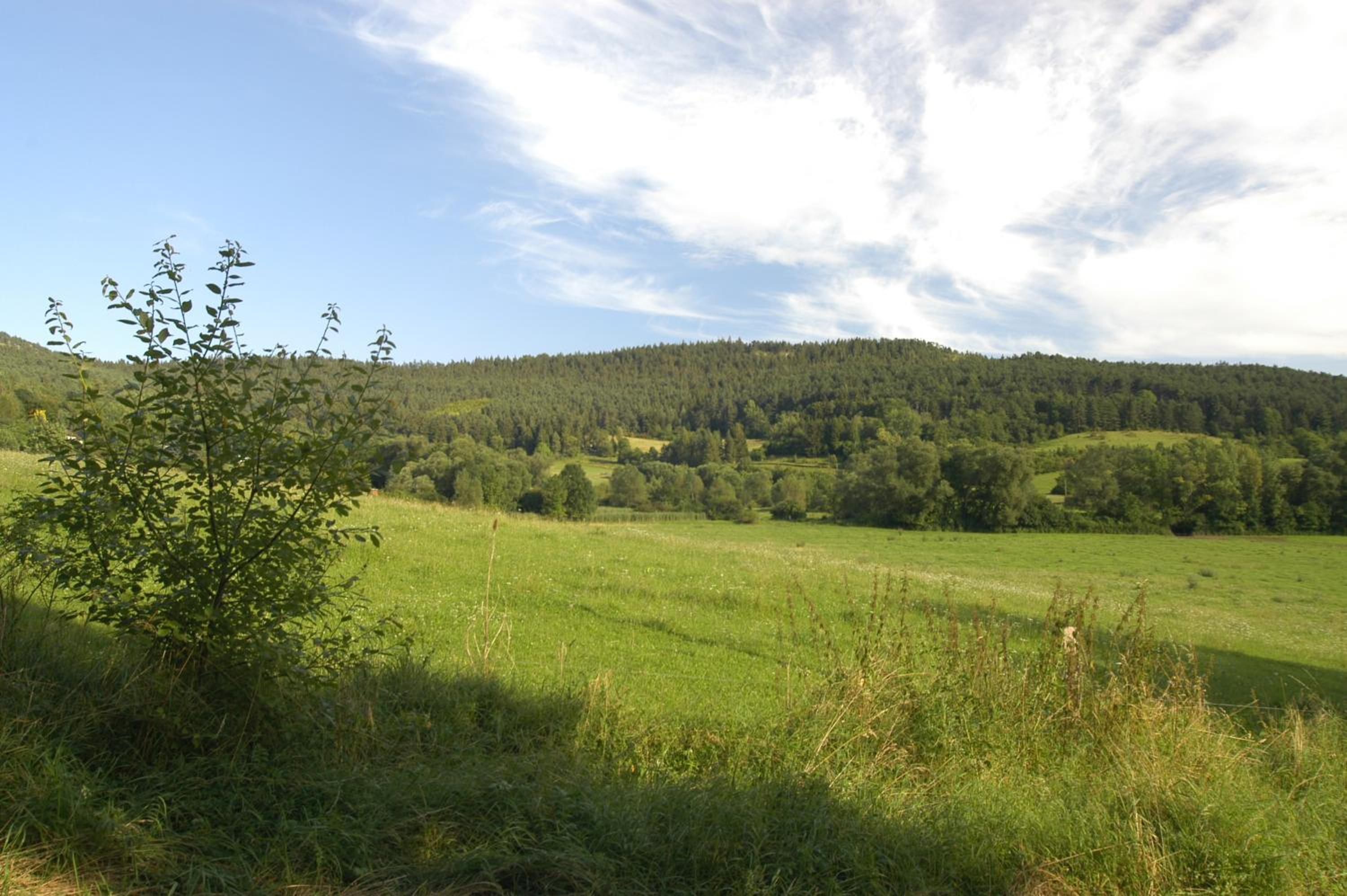 Ferienanlage Reinsberger Dorf