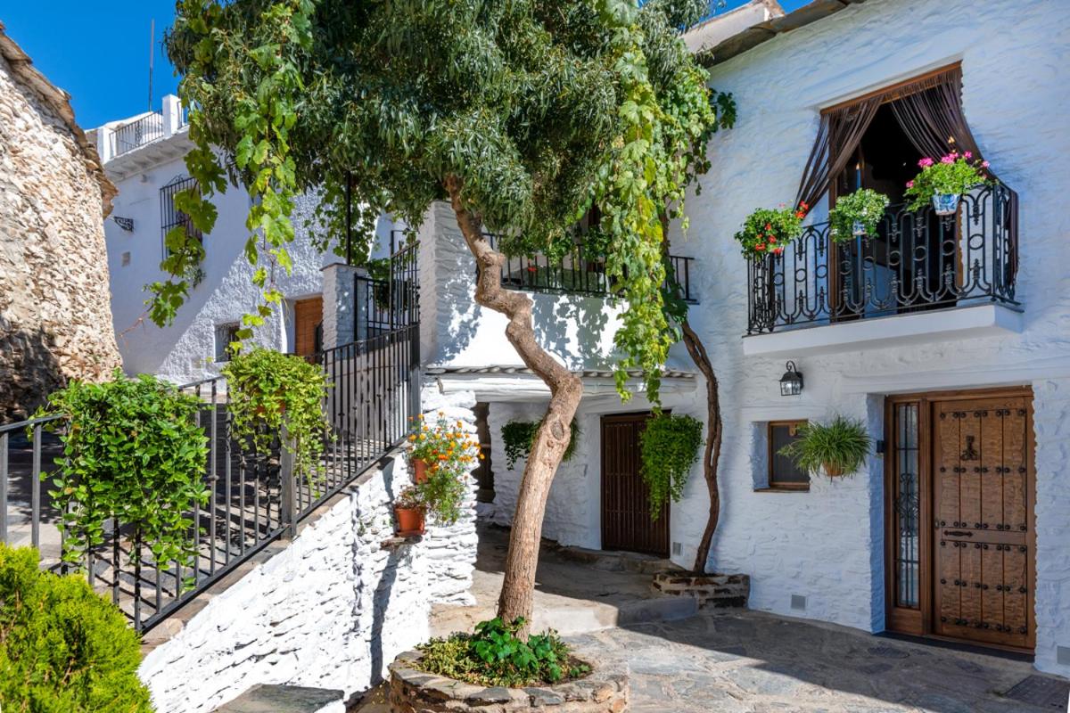 Casa Antonia Capileira La Alpujarra