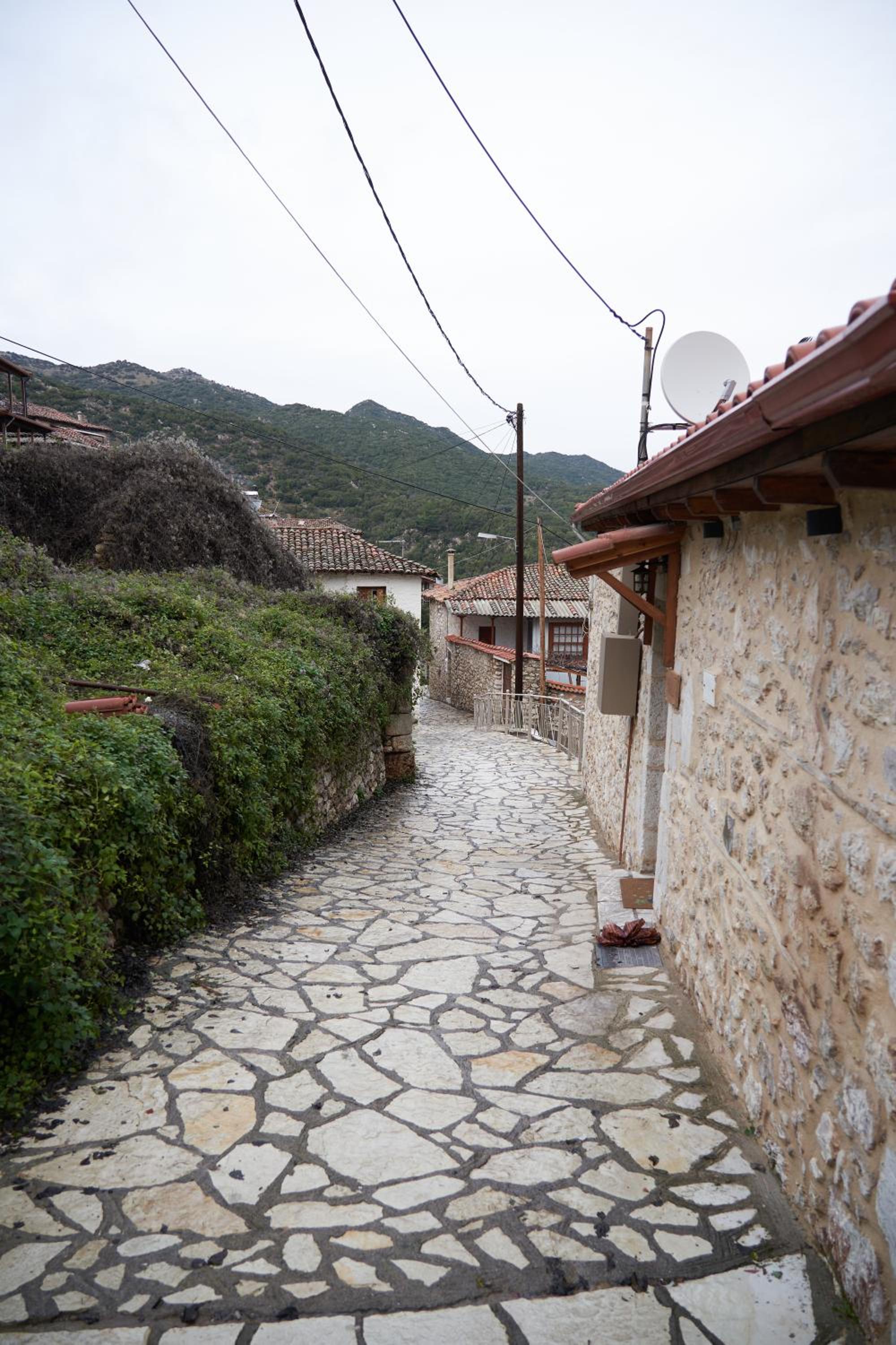 Photo 43