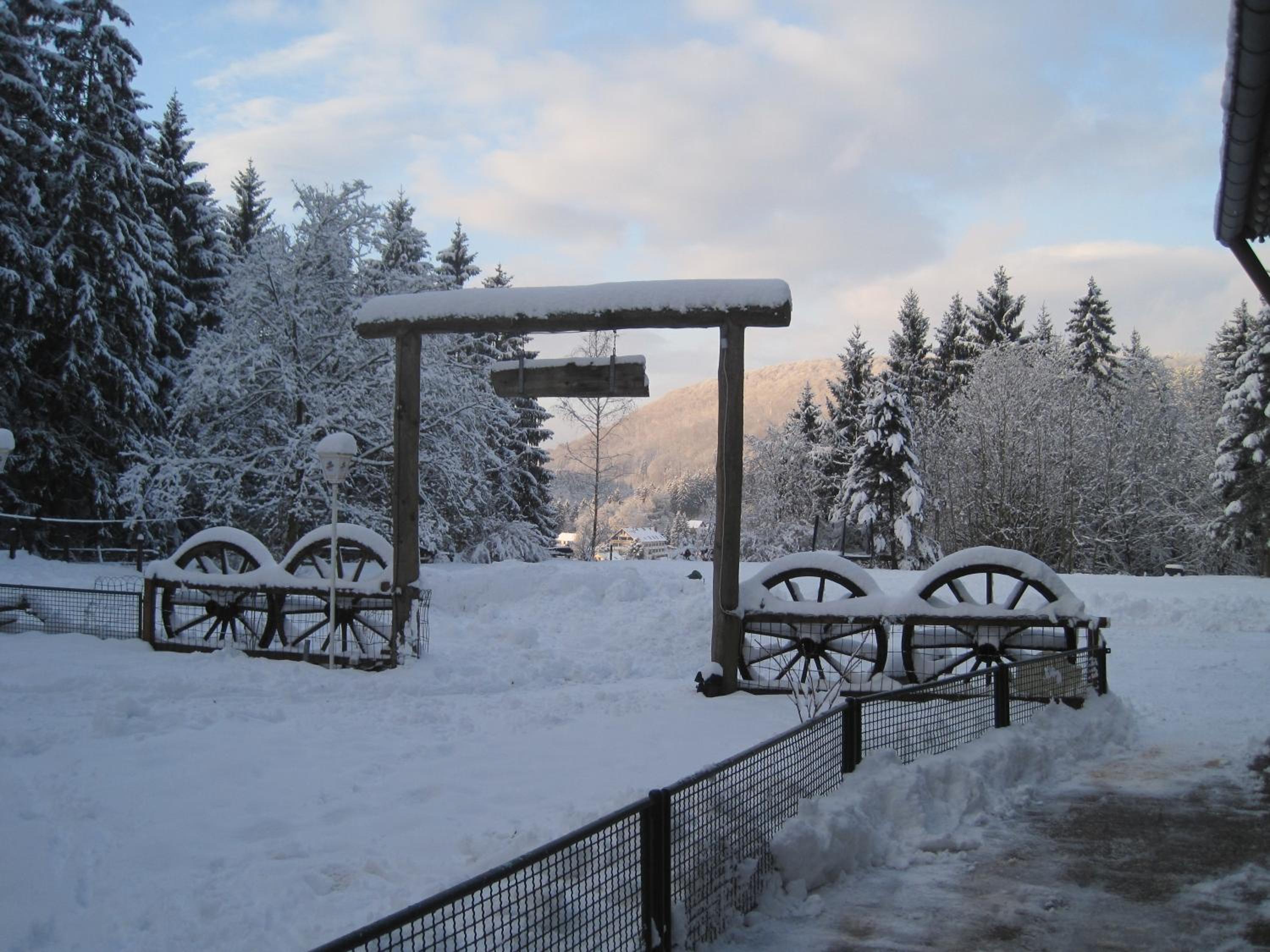 Waldpension Harzer Waldwinkel