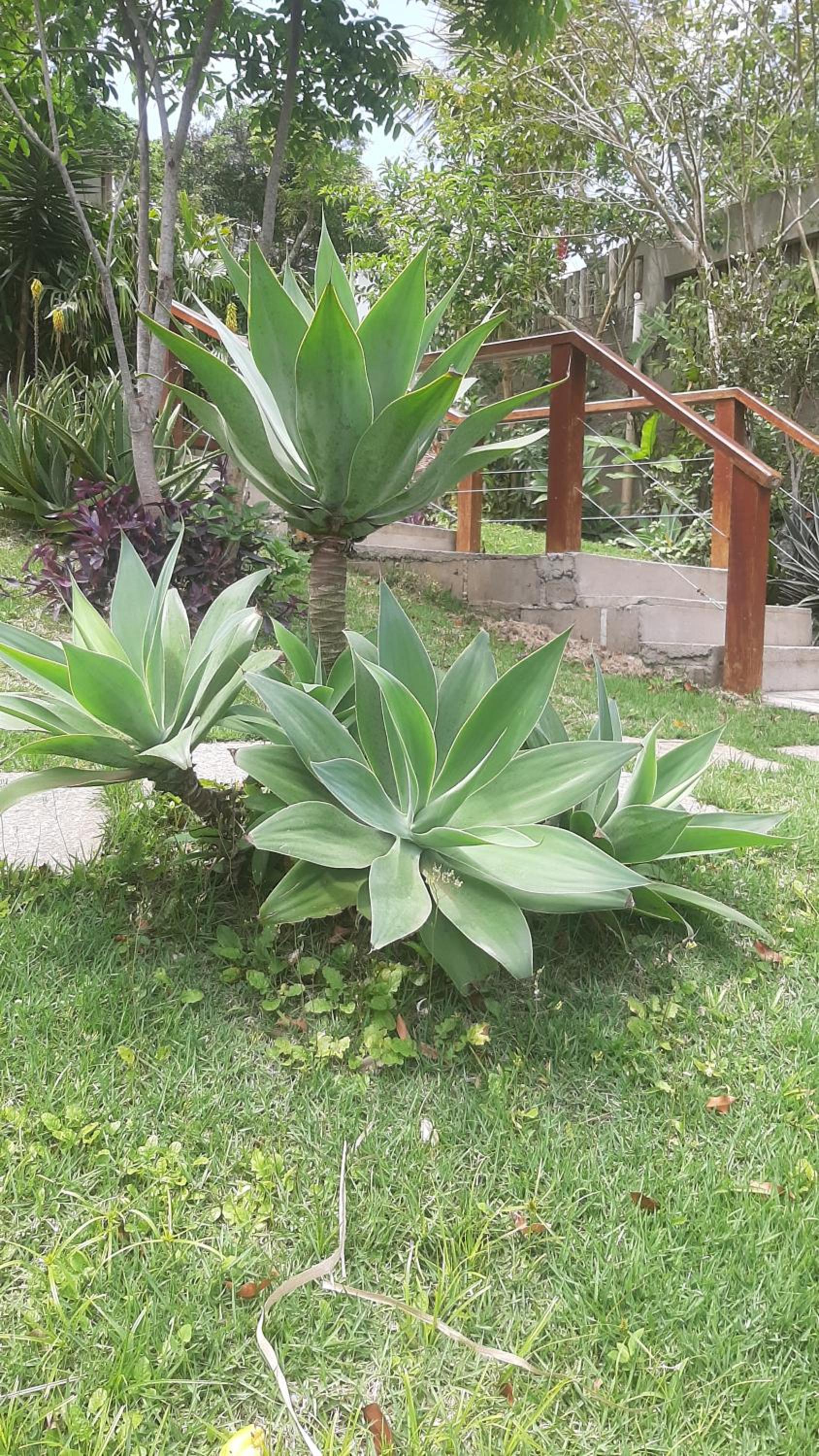 Vivamar Ferradura