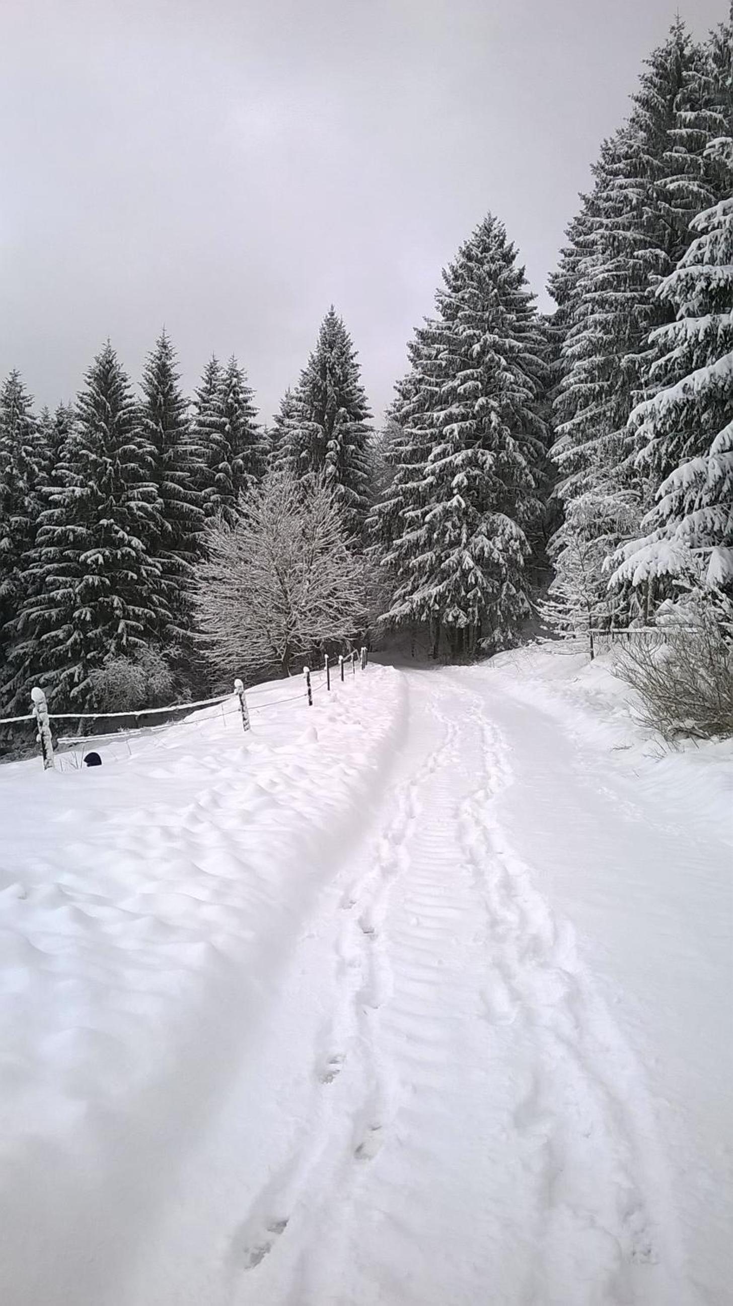 Waldpension Harzer Waldwinkel